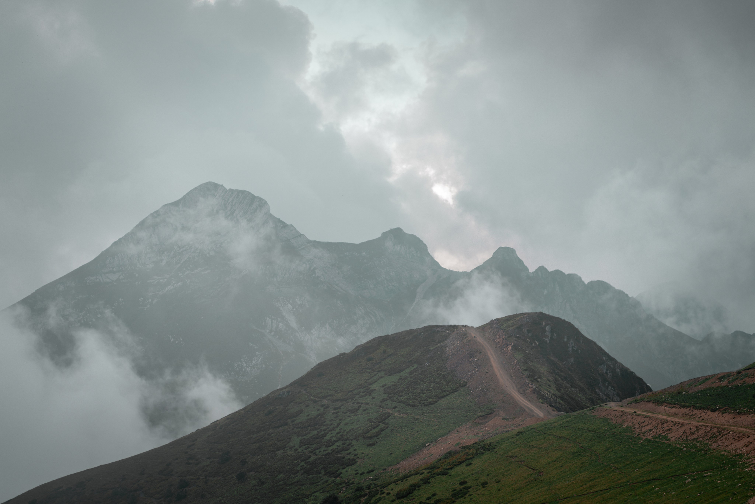 Сочи. Фотограф Александра Волкова | Волгоград