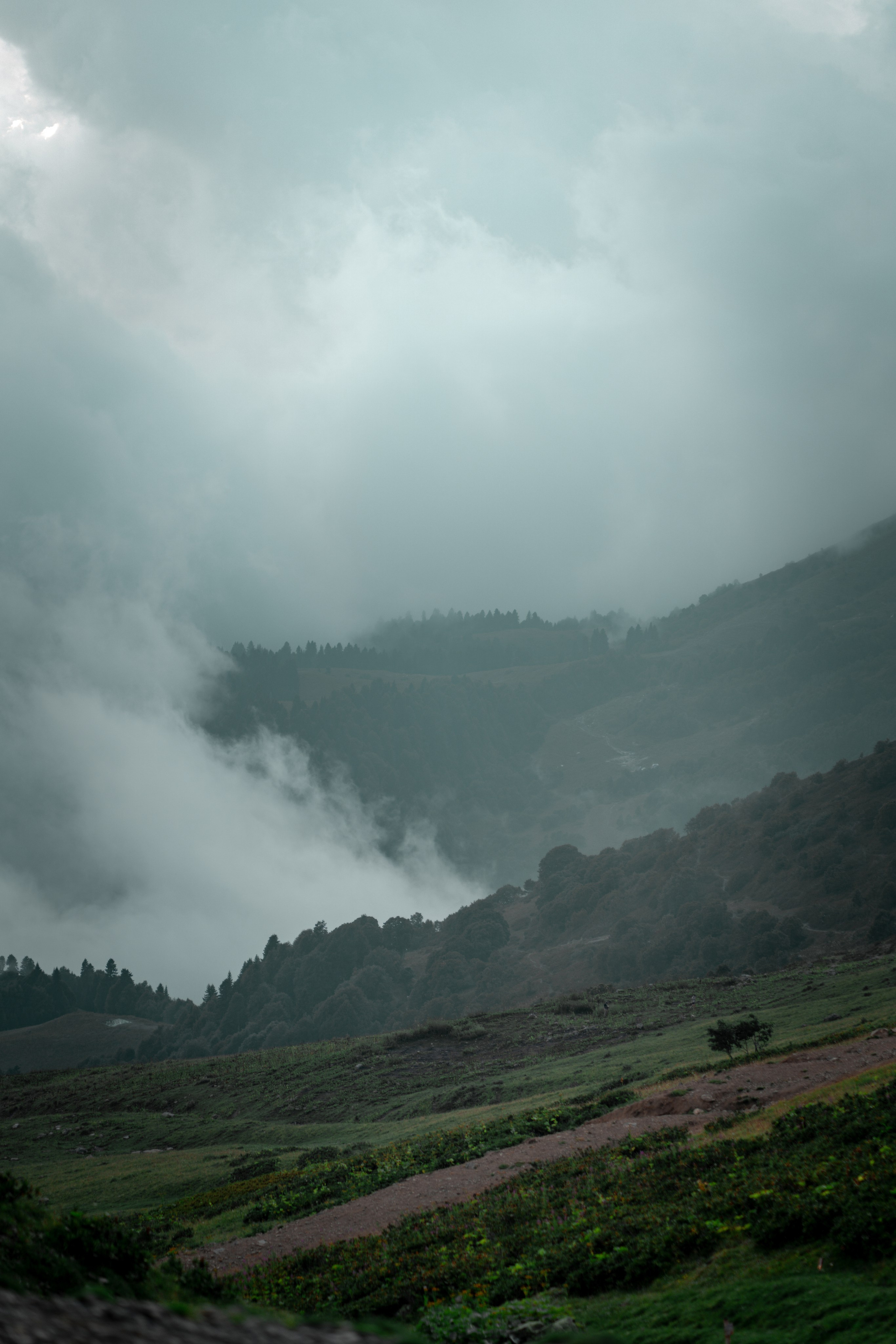 Сочи. Фотограф Александра Волкова | Волгоград
