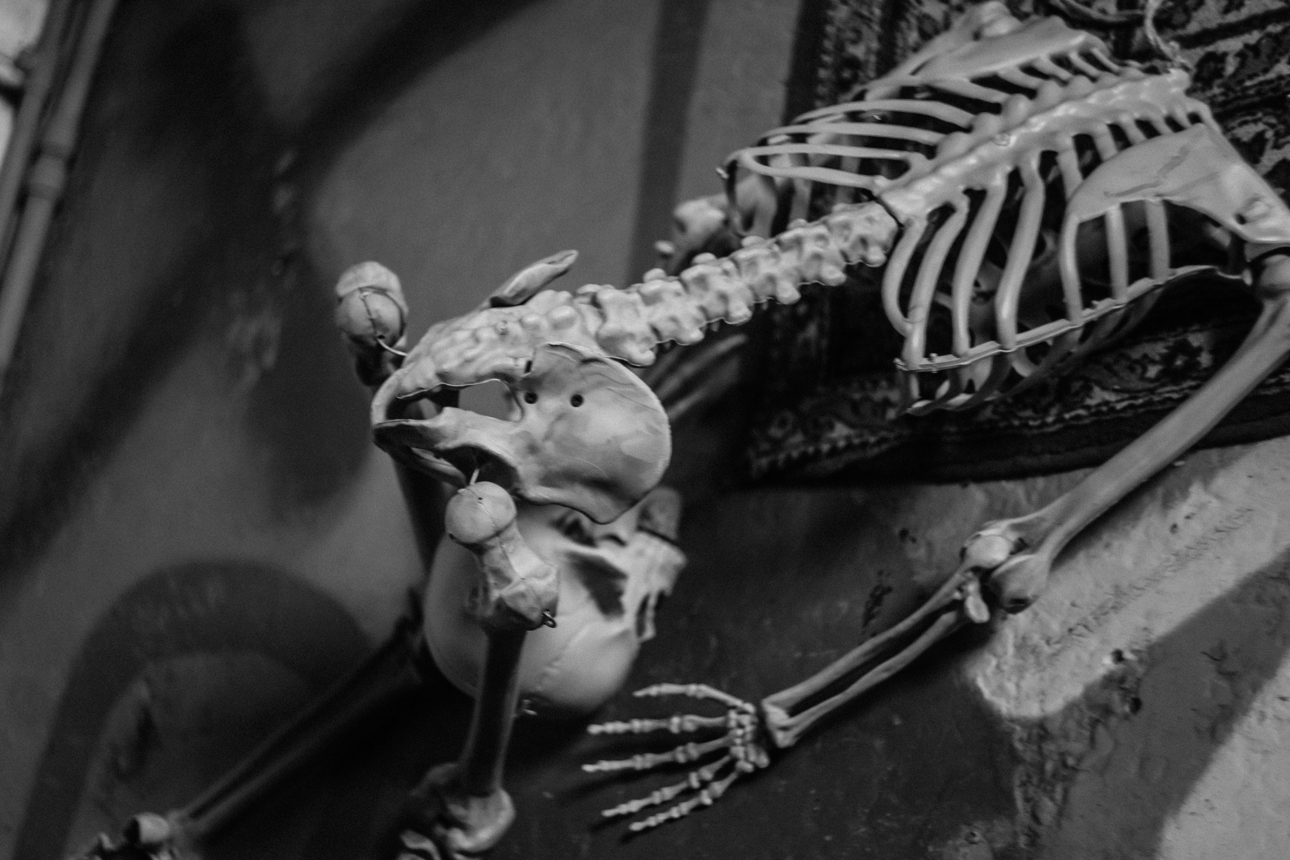 Лена. «Teen space». Фотограф в Нижнем Новгороде