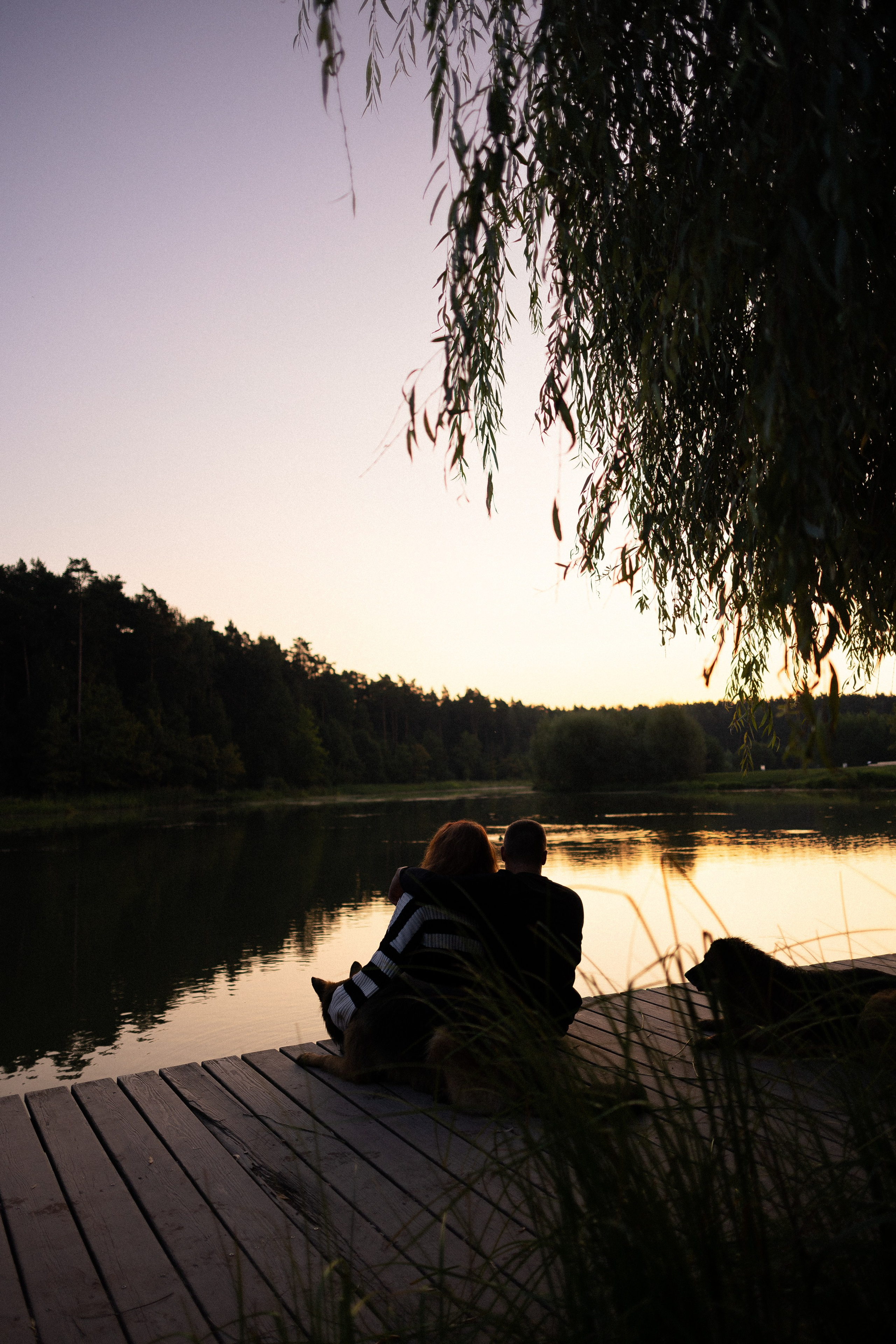 Алена, Матвей, Фанни и Фрея. Фотограф и видеограф анималист Аганина Дарья