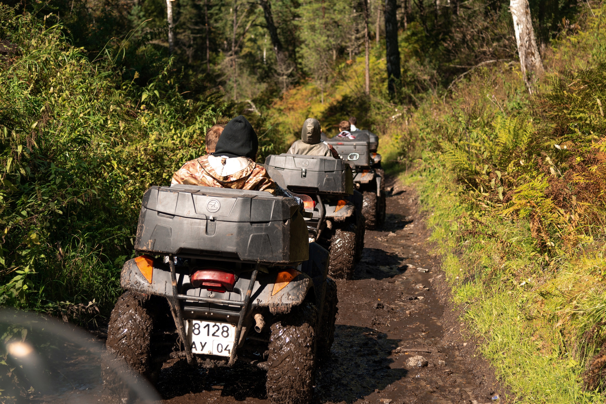 Тимбилдинг Lime. Фотограф Опыт Качество Скорость Горный Алтай Барнаул