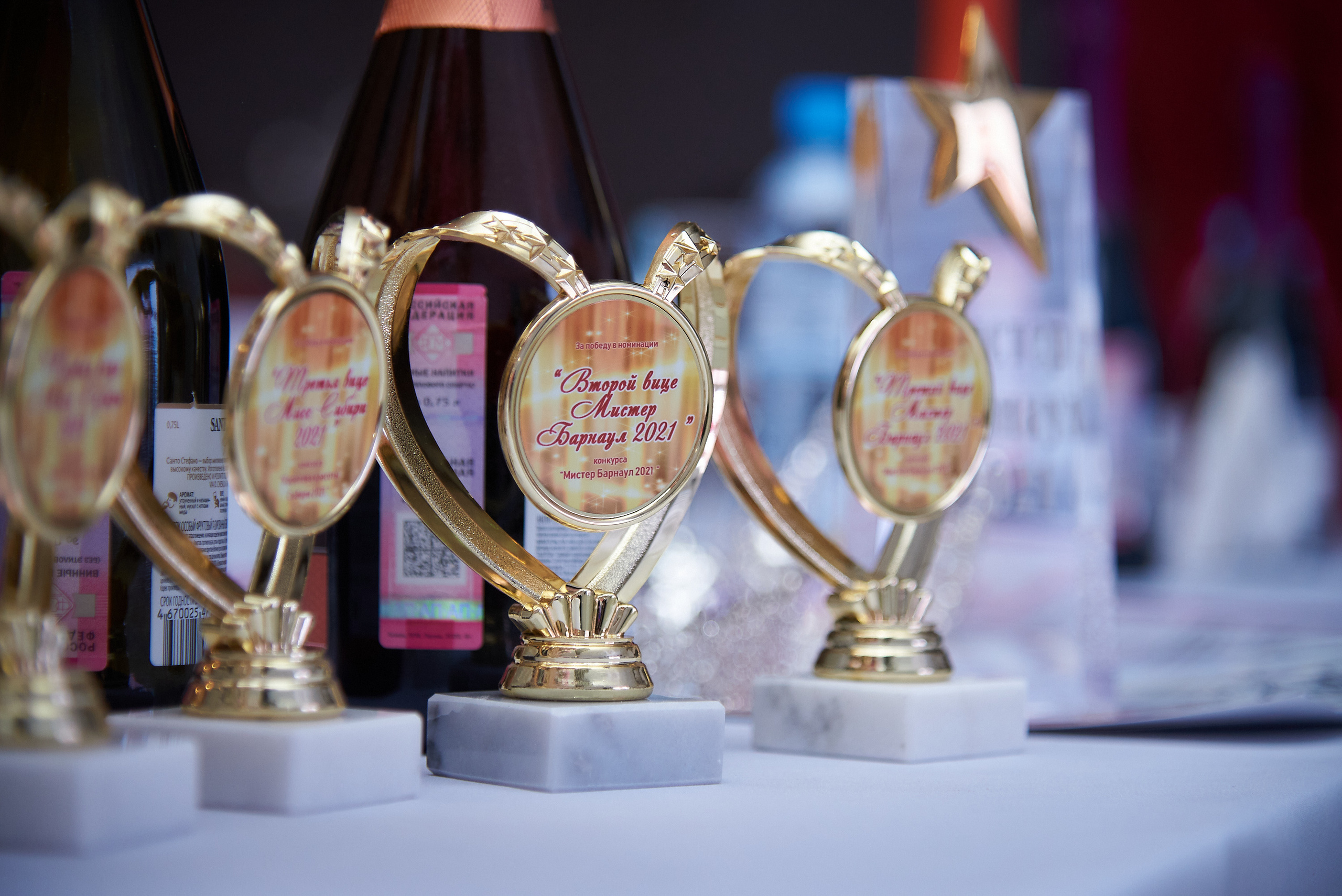 «МИСТЕР БАРНАУЛ 2020-2021» и «КОРОЛЕВА КРАСОТЫ 2020-2021"👑. Фотограф Опыт Качество Скорость Горный Алтай Барнаул