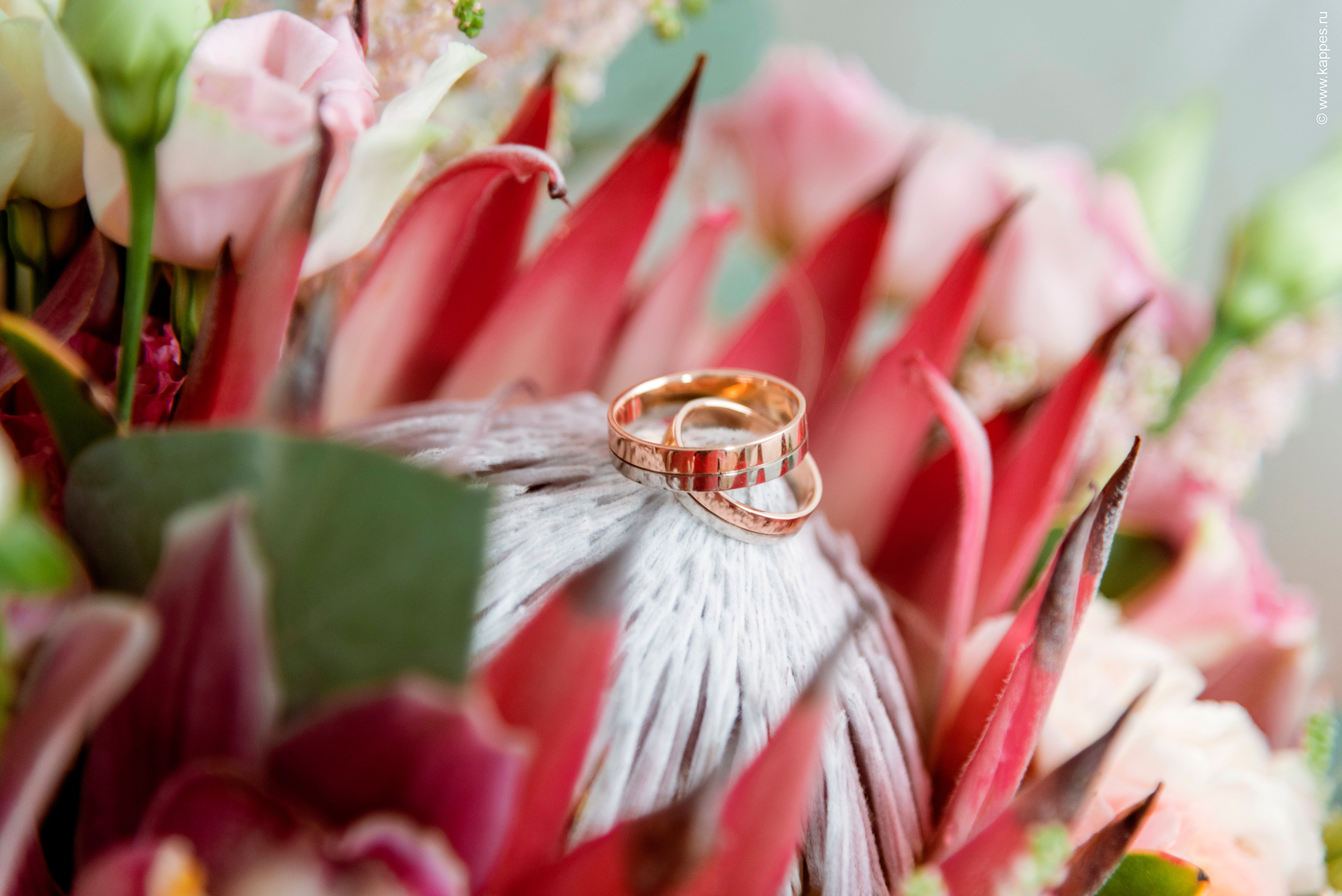 Свадебный фотограф Барнаул. Фотограф Опыт Качество Скорость Горный Алтай Барнаул