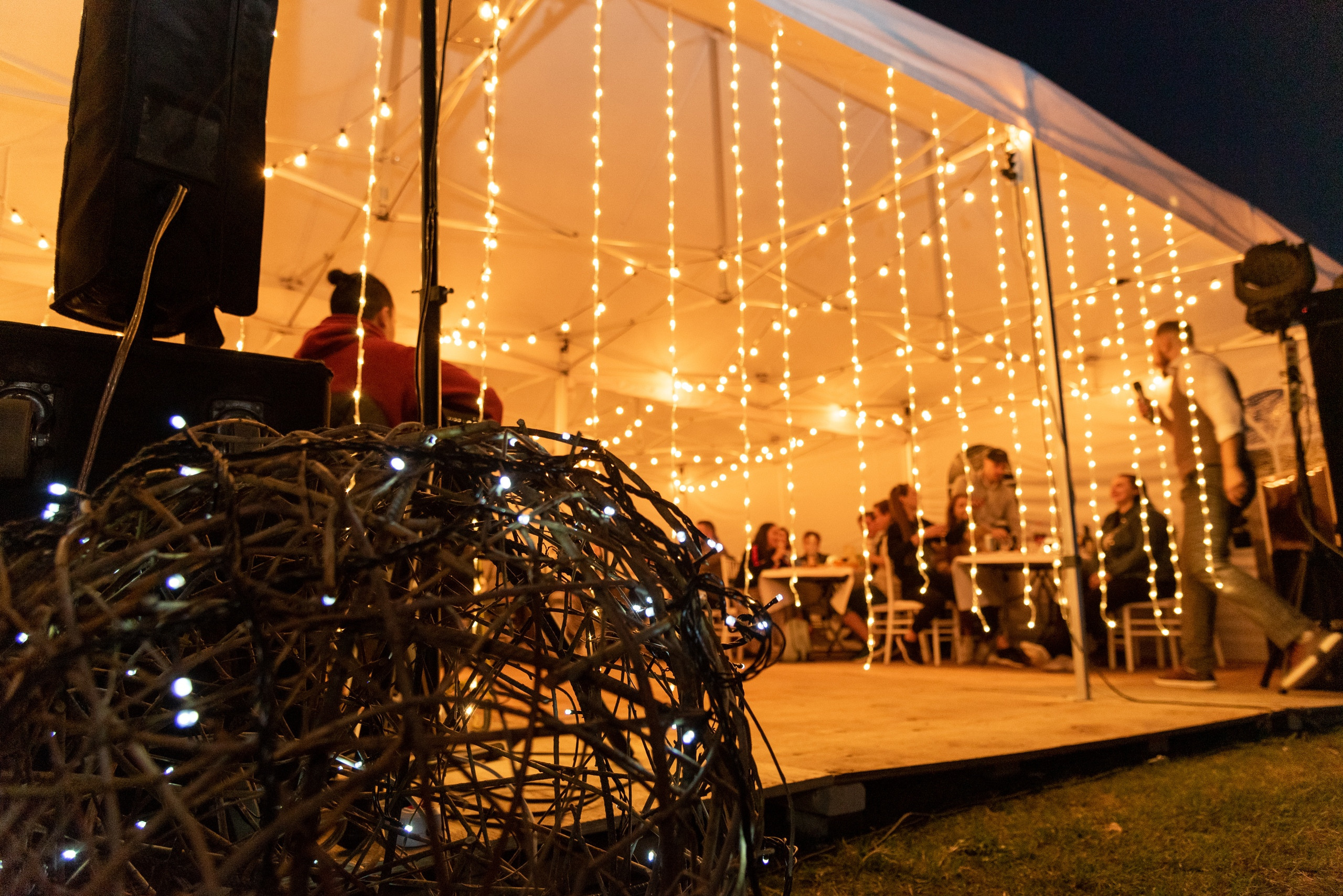 Тимбилдинг Lime. Фотограф Опыт Качество Скорость Горный Алтай Барнаул