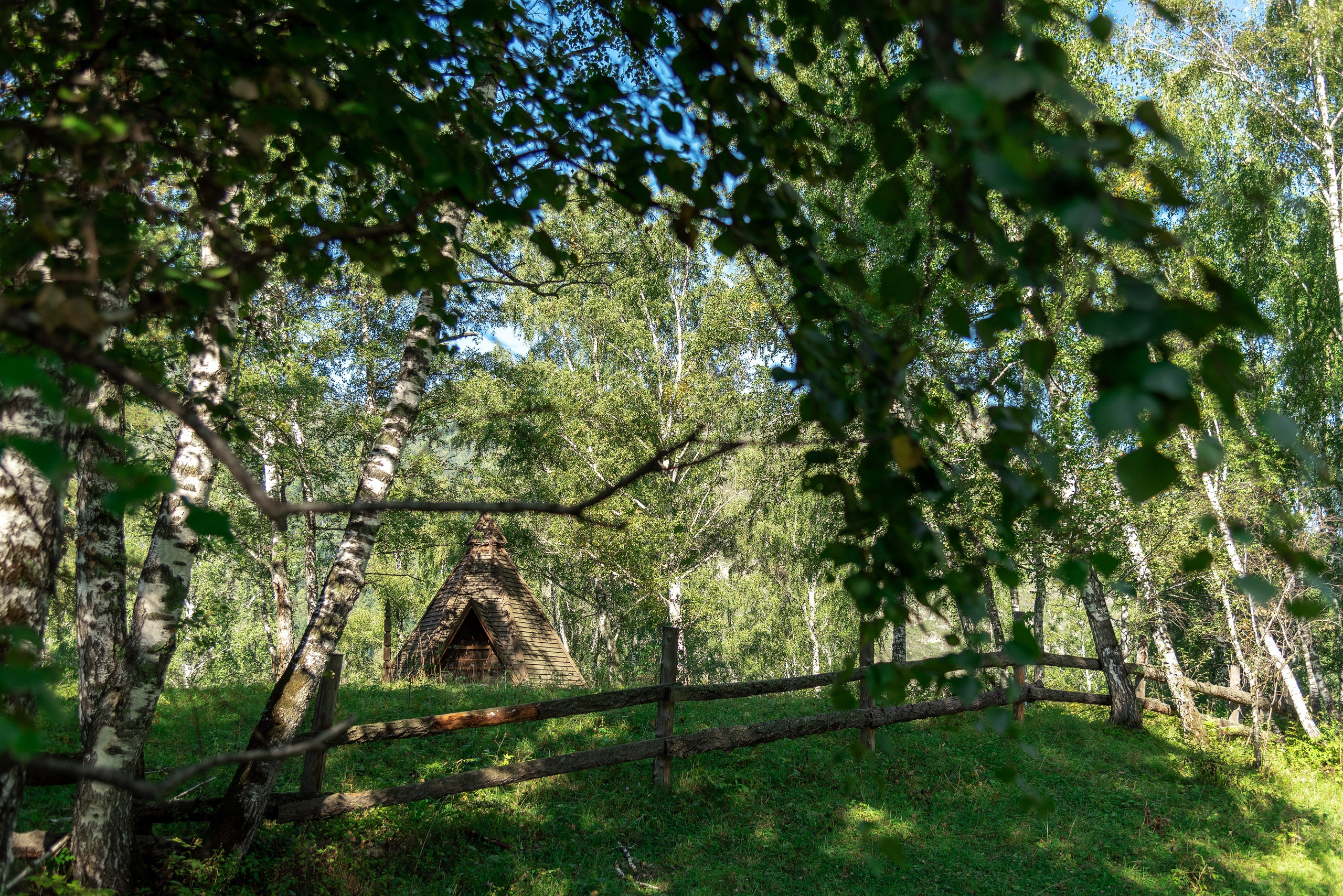 Тимбилдинг Lime. Фотограф Опыт Качество Скорость Горный Алтай Барнаул