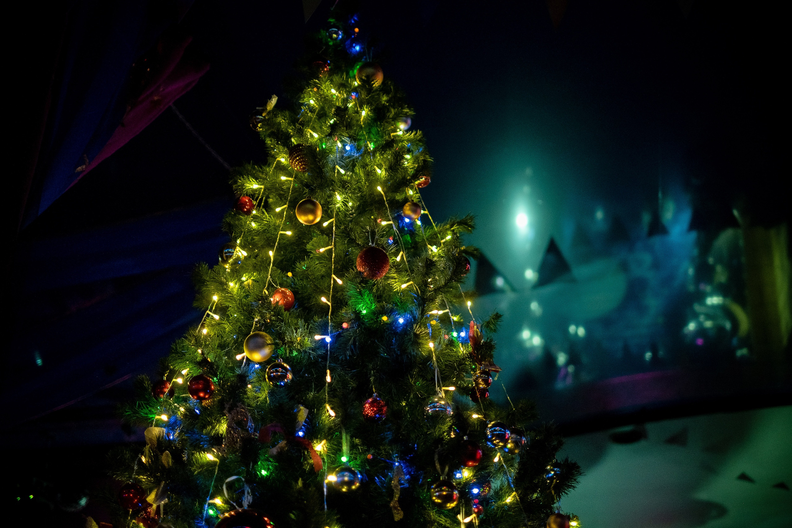 Фотограф на корпоратив Барнаул. Фотограф Опыт Качество Скорость Горный Алтай Барнаул