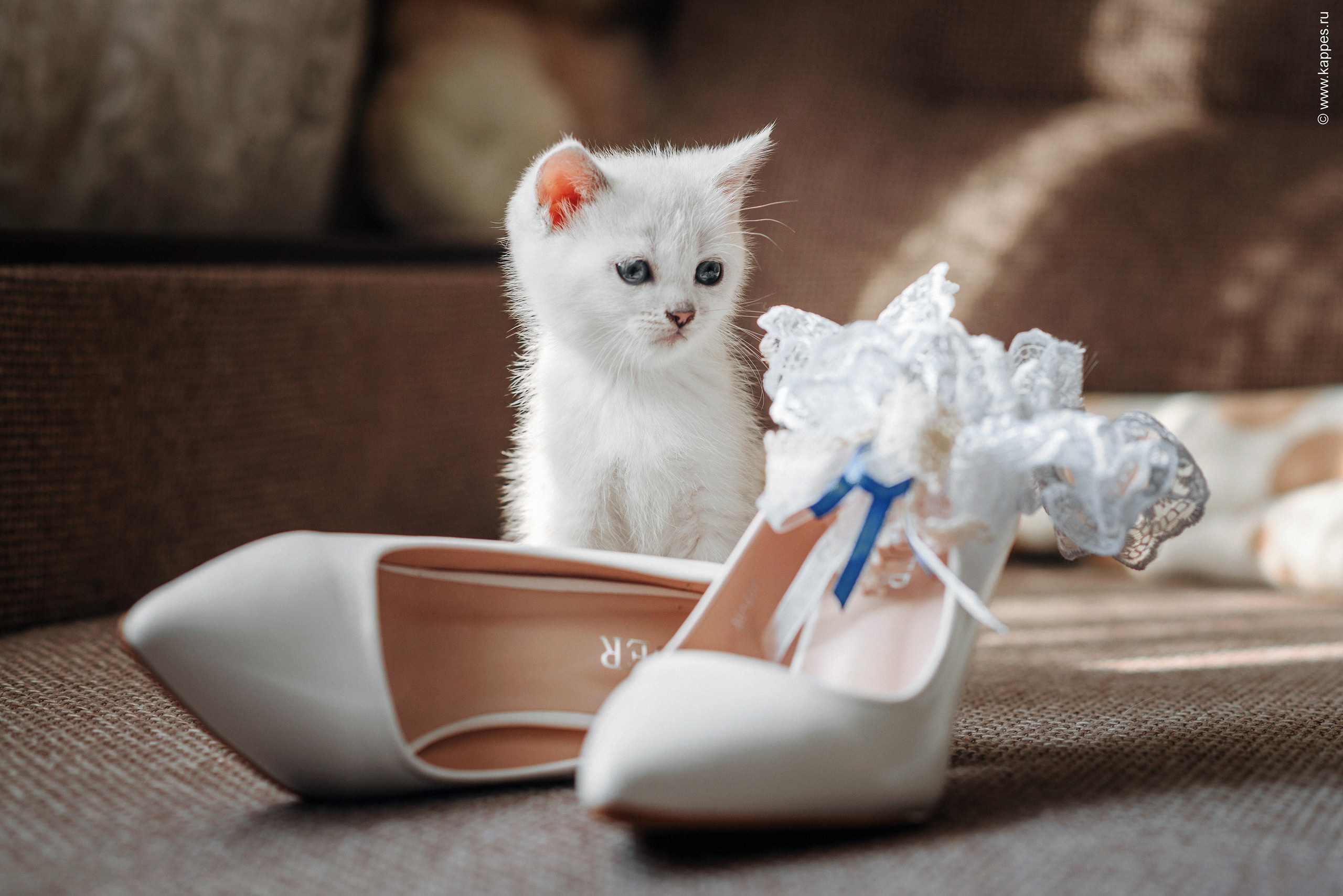 Свадебный фотограф Барнаул. Фотограф Опыт Качество Скорость Горный Алтай Барнаул