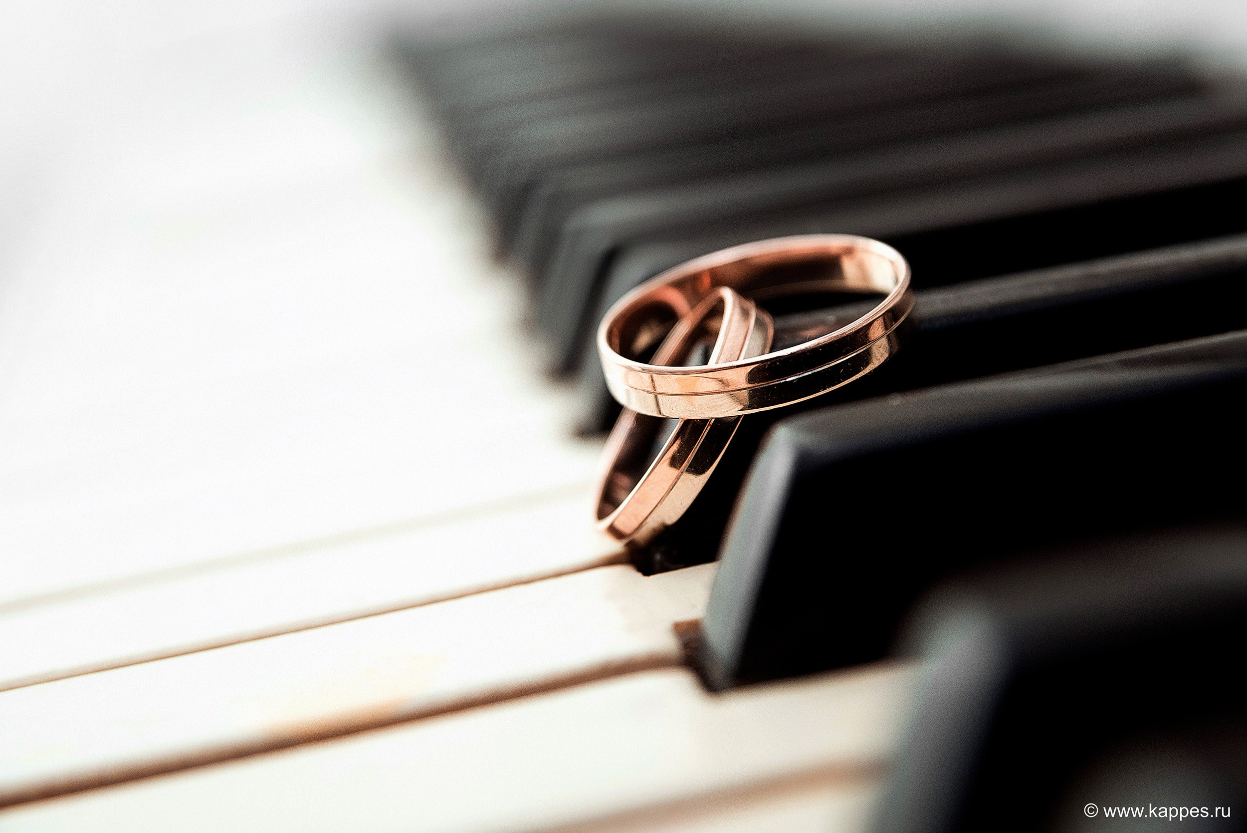 Свадебный фотограф Барнаул. Фотограф Опыт Качество Скорость Горный Алтай Барнаул