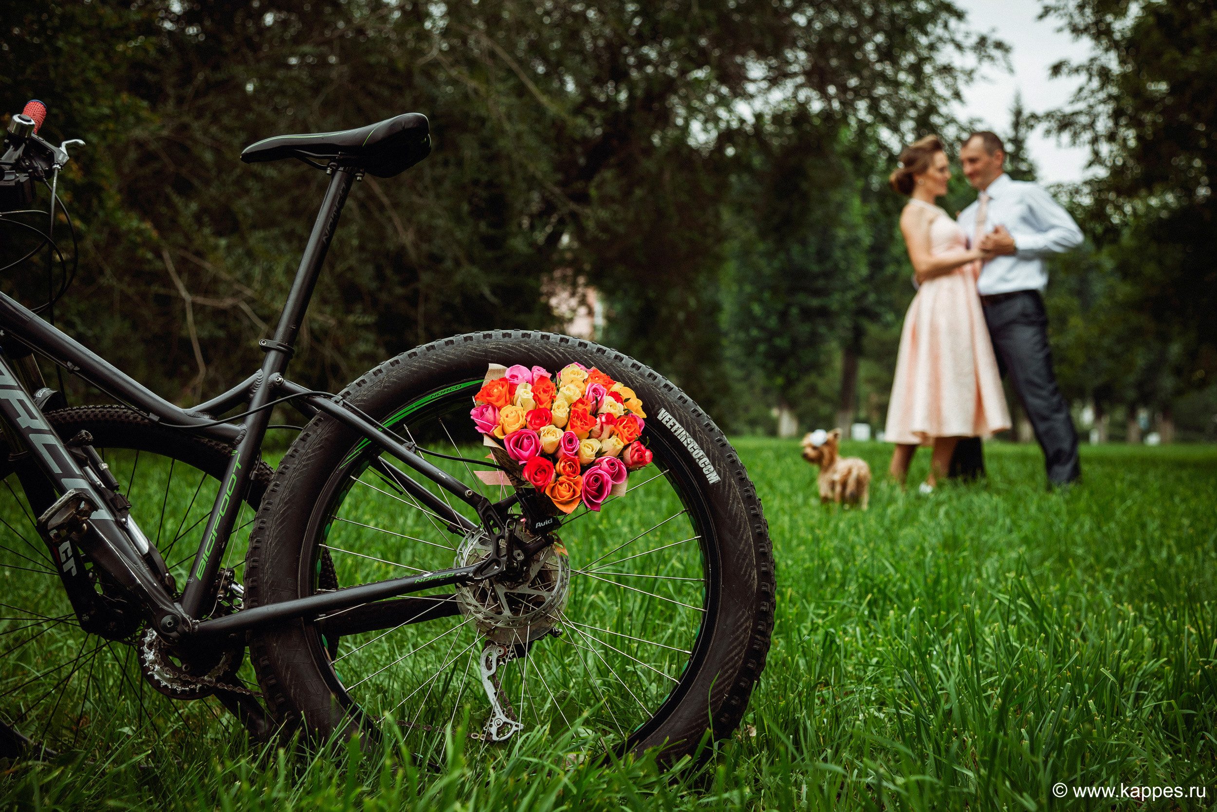 Свадебный фотограф Барнаул. Фотограф Опыт Качество Скорость Горный Алтай Барнаул