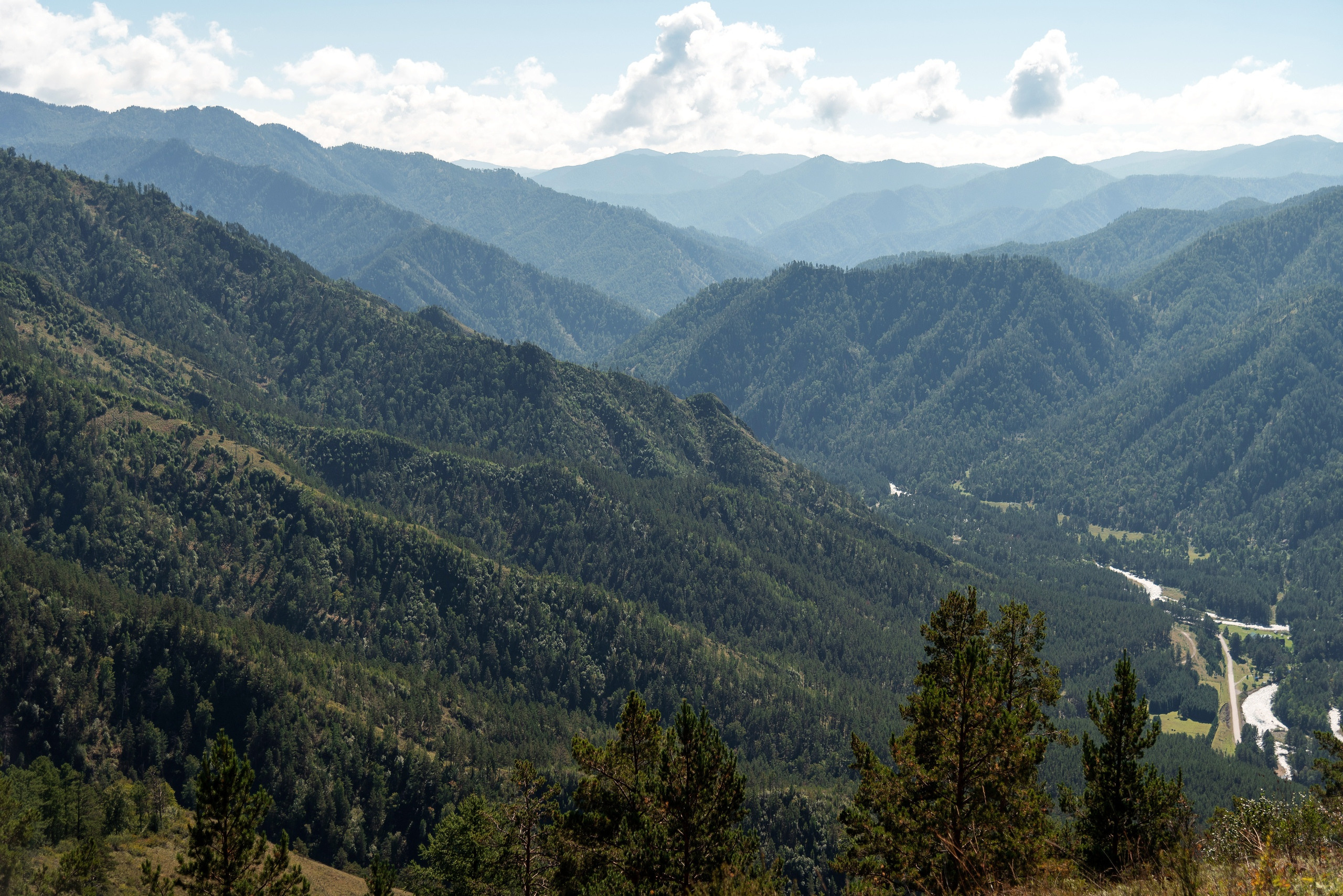 Тимбилдинг Lime. Фотограф Опыт Качество Скорость Горный Алтай Барнаул