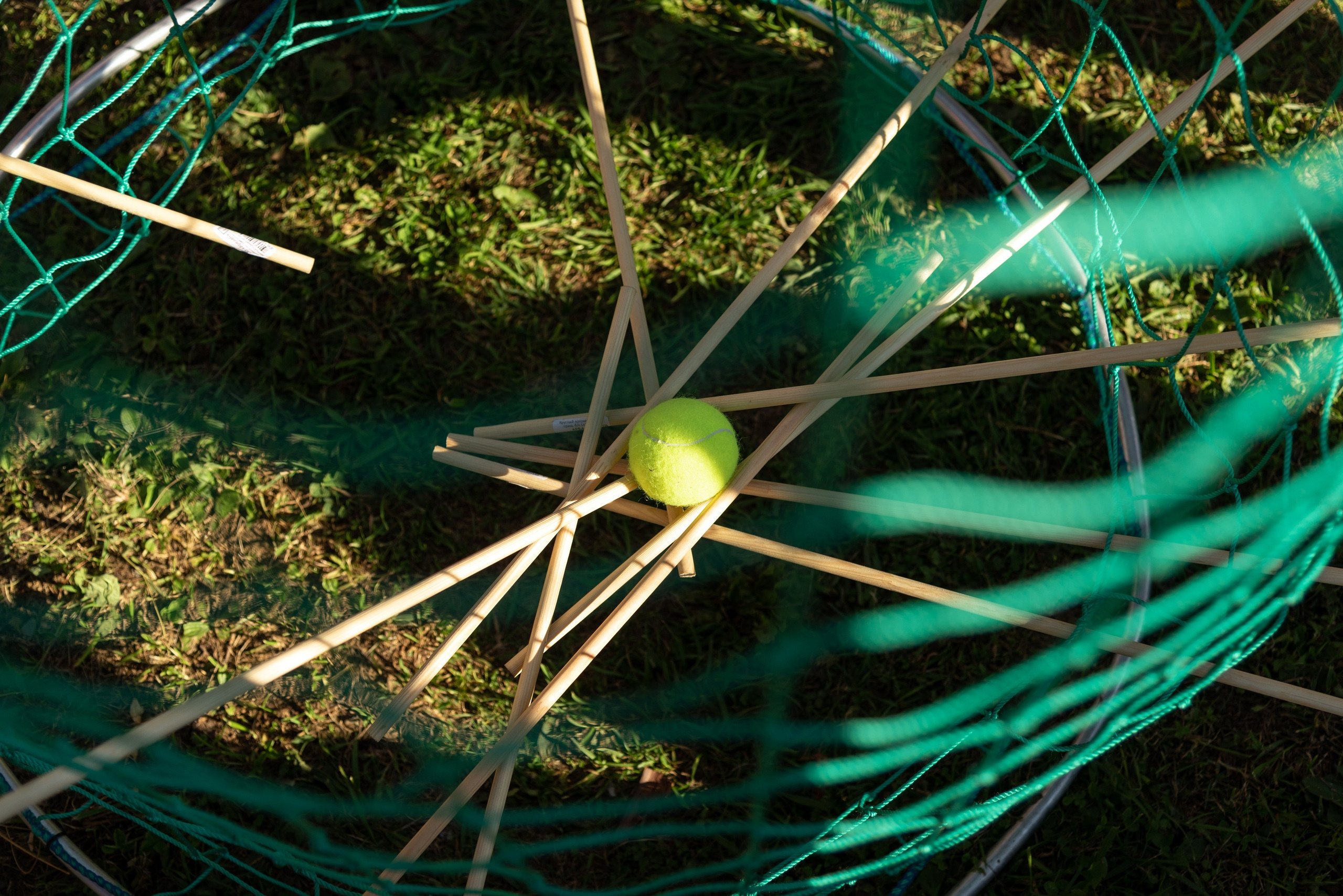 Тимбилдинг Lime. Фотограф Опыт Качество Скорость Горный Алтай Барнаул