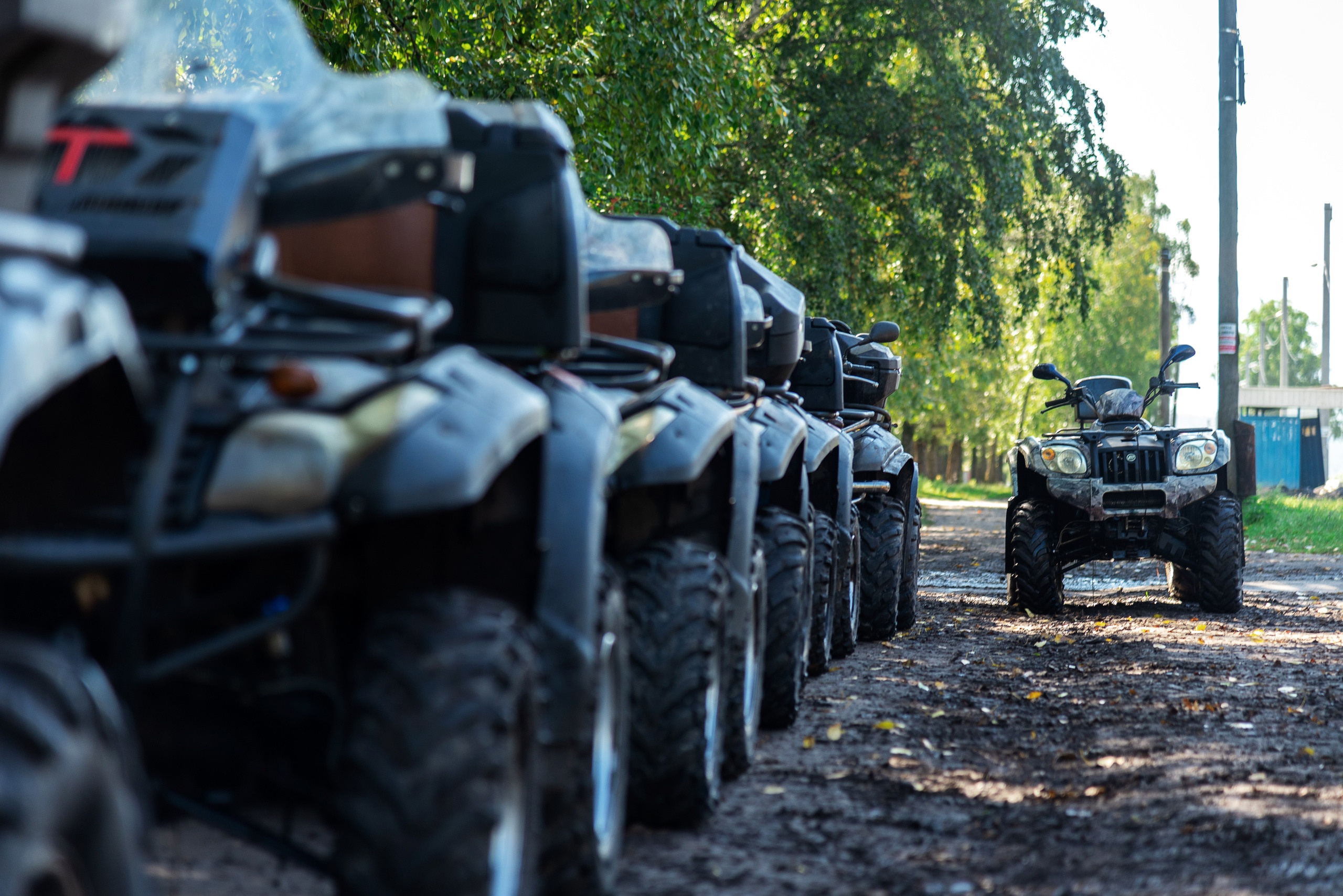 Тимбилдинг Lime. Фотограф Опыт Качество Скорость Горный Алтай Барнаул