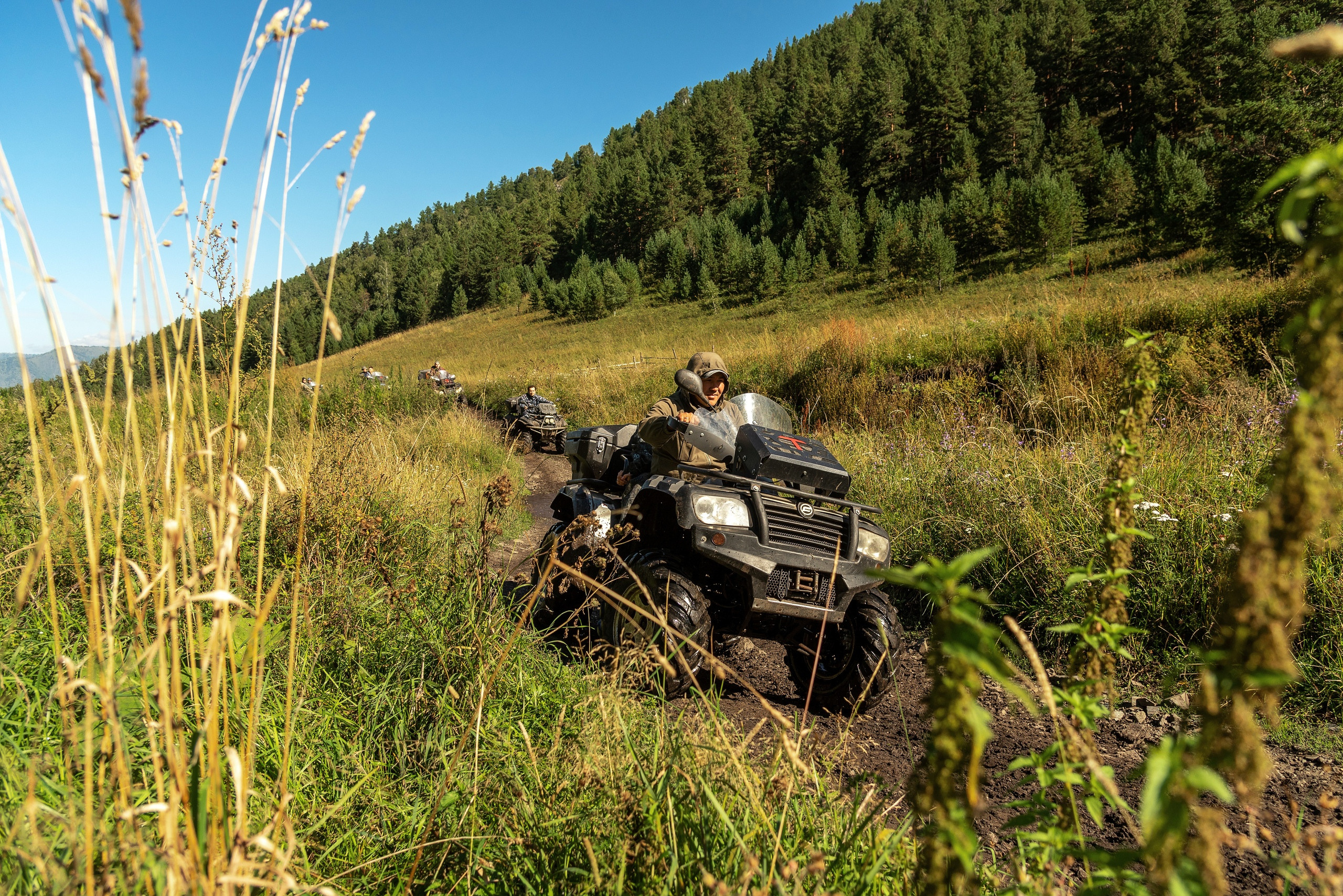 Тимбилдинг Lime. Фотограф Опыт Качество Скорость Горный Алтай Барнаул