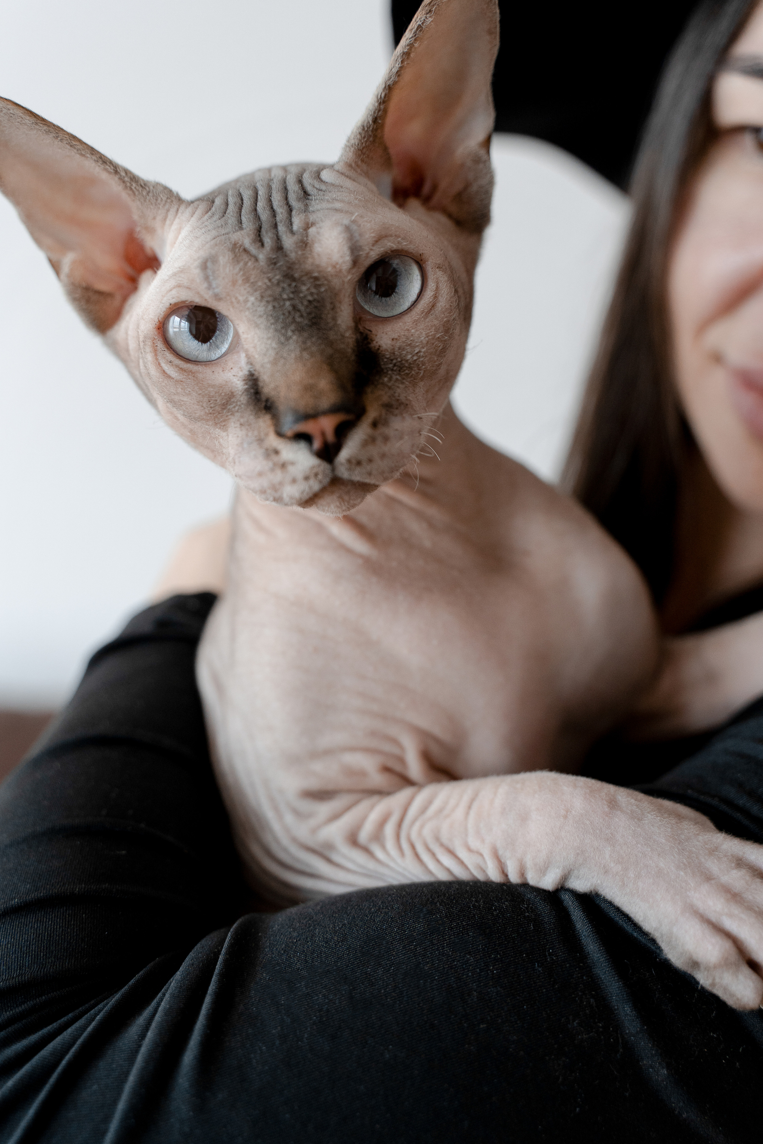 Ксения. Персональный фотограф Наталья Иванкова, Москва