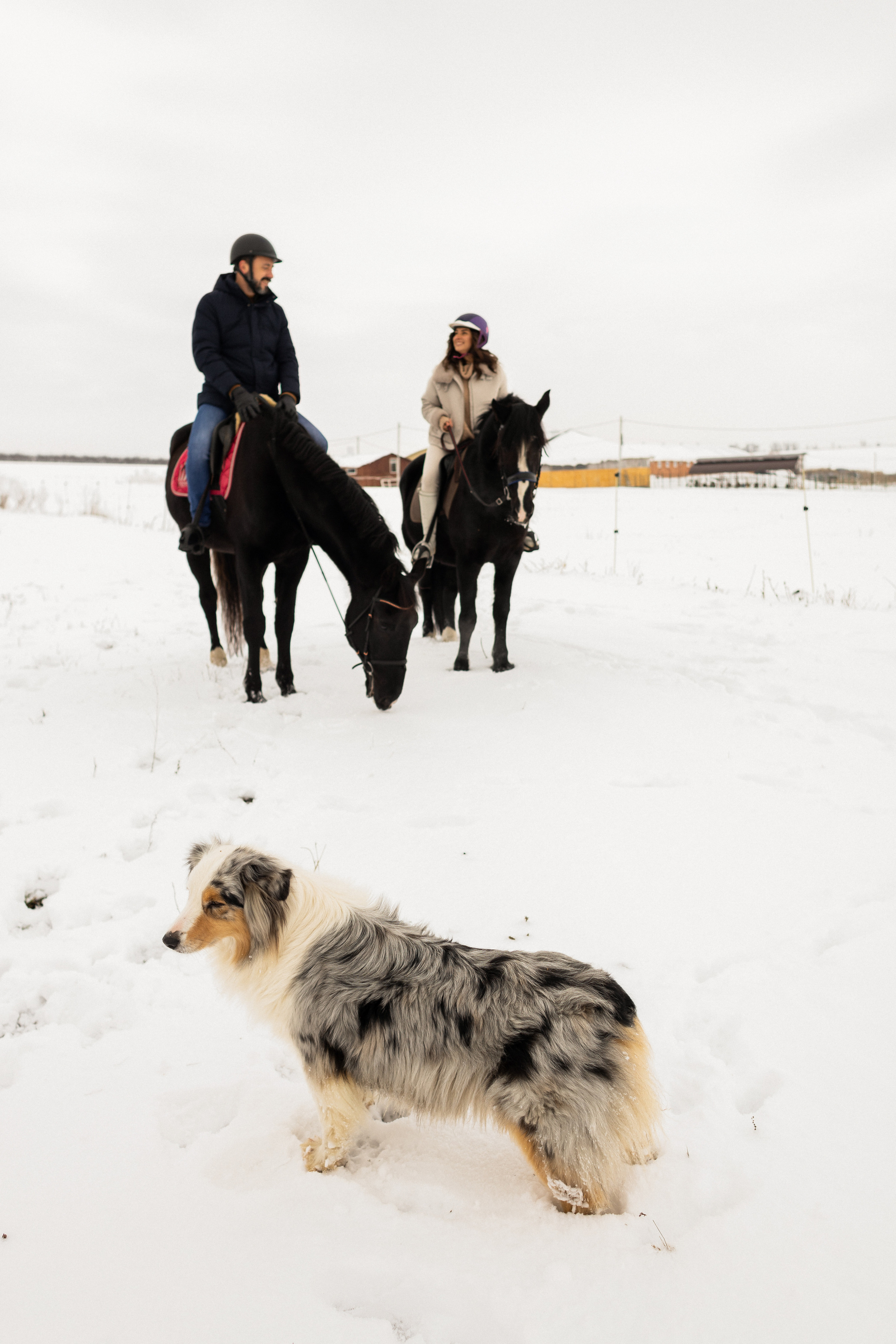 Марина и Саша. Свадебный и семейный фотограф в Ростове-на-Дону Анастасия Арестова