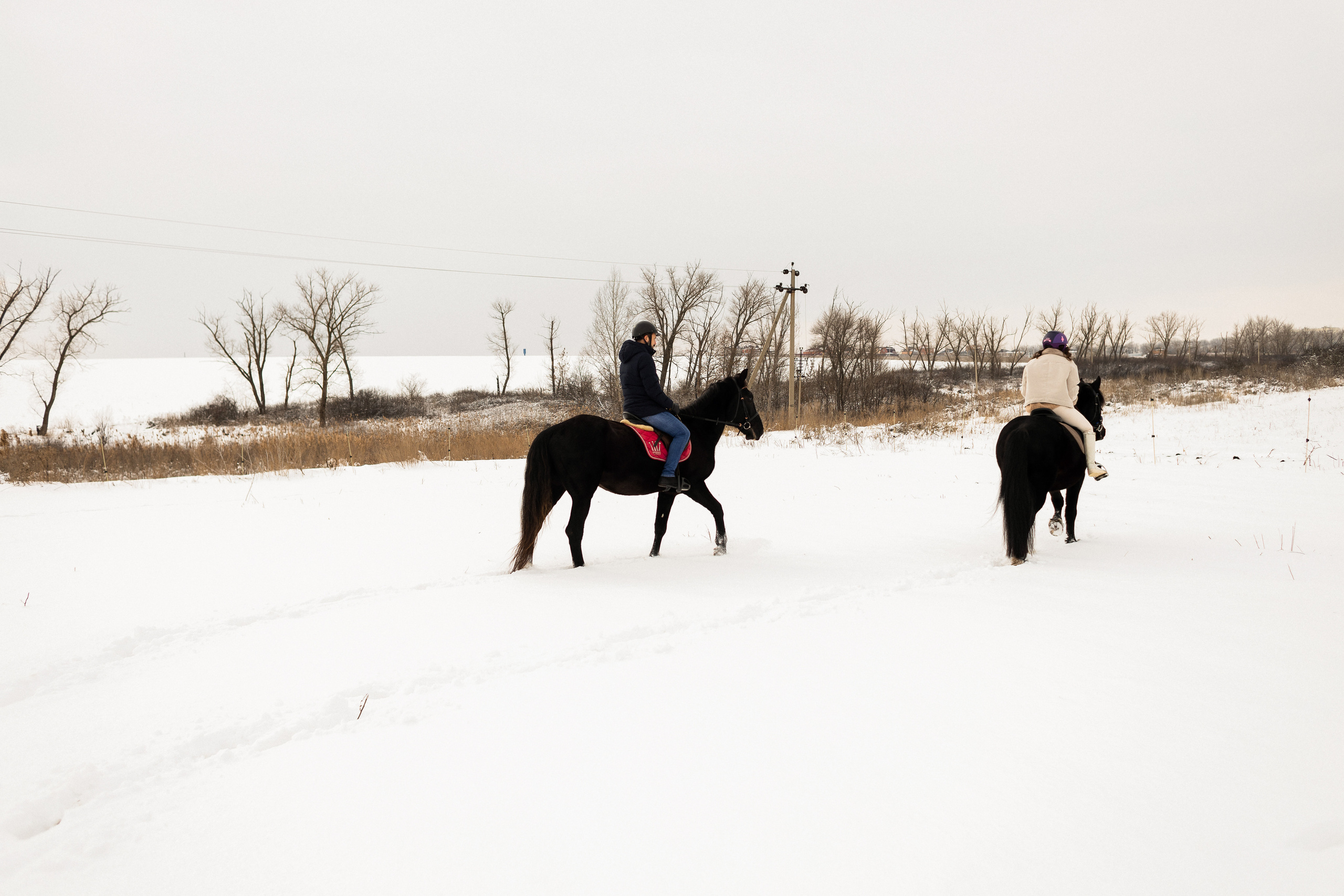 Марина и Саша. Свадебный и семейный фотограф в Ростове-на-Дону Анастасия Арестова