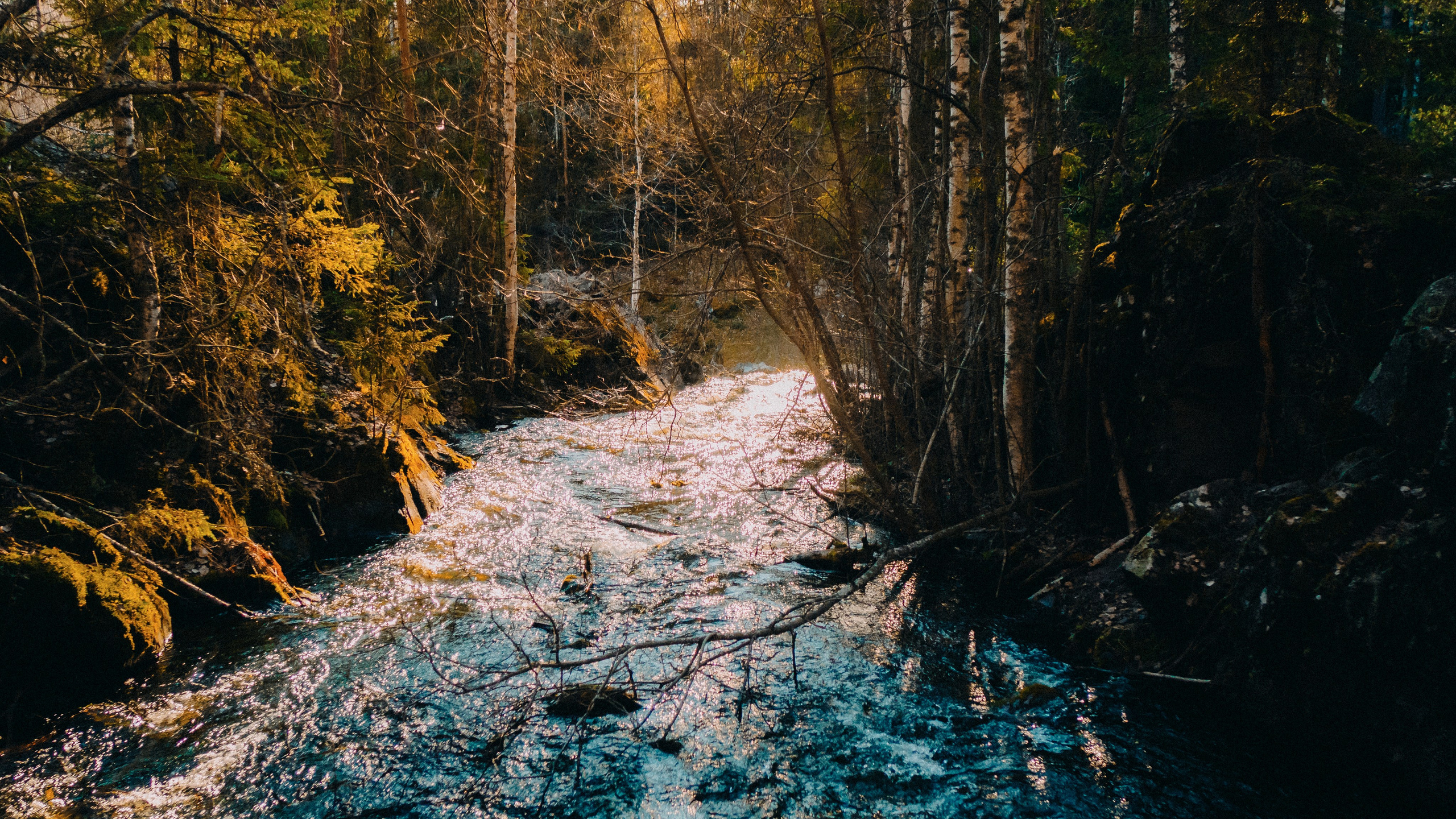 Карелия '23. Фёдор Малюгин. Ваш бади в визуале