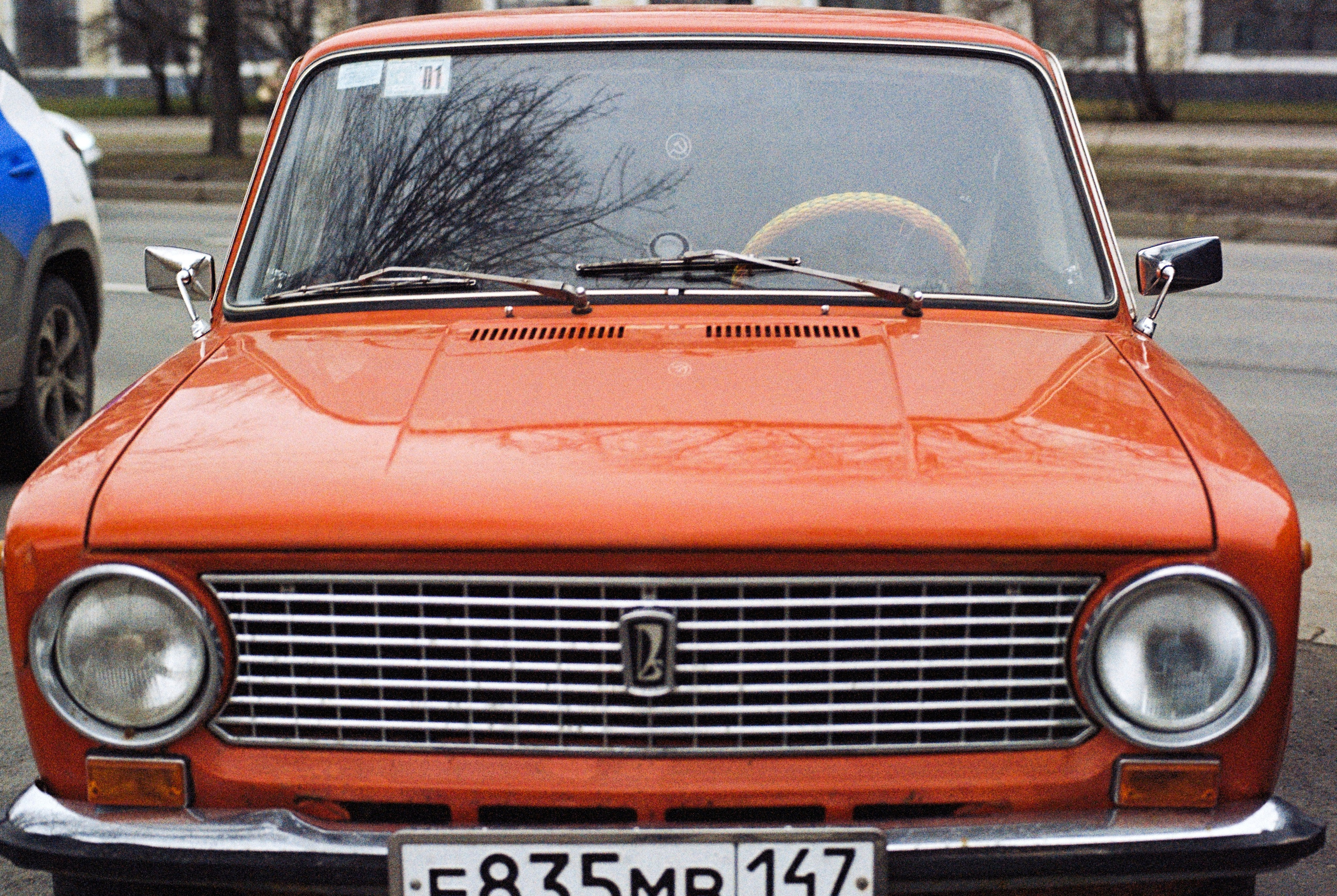 Плёночная весна 2025. Илья Михачёв Фотограф ПРО людей