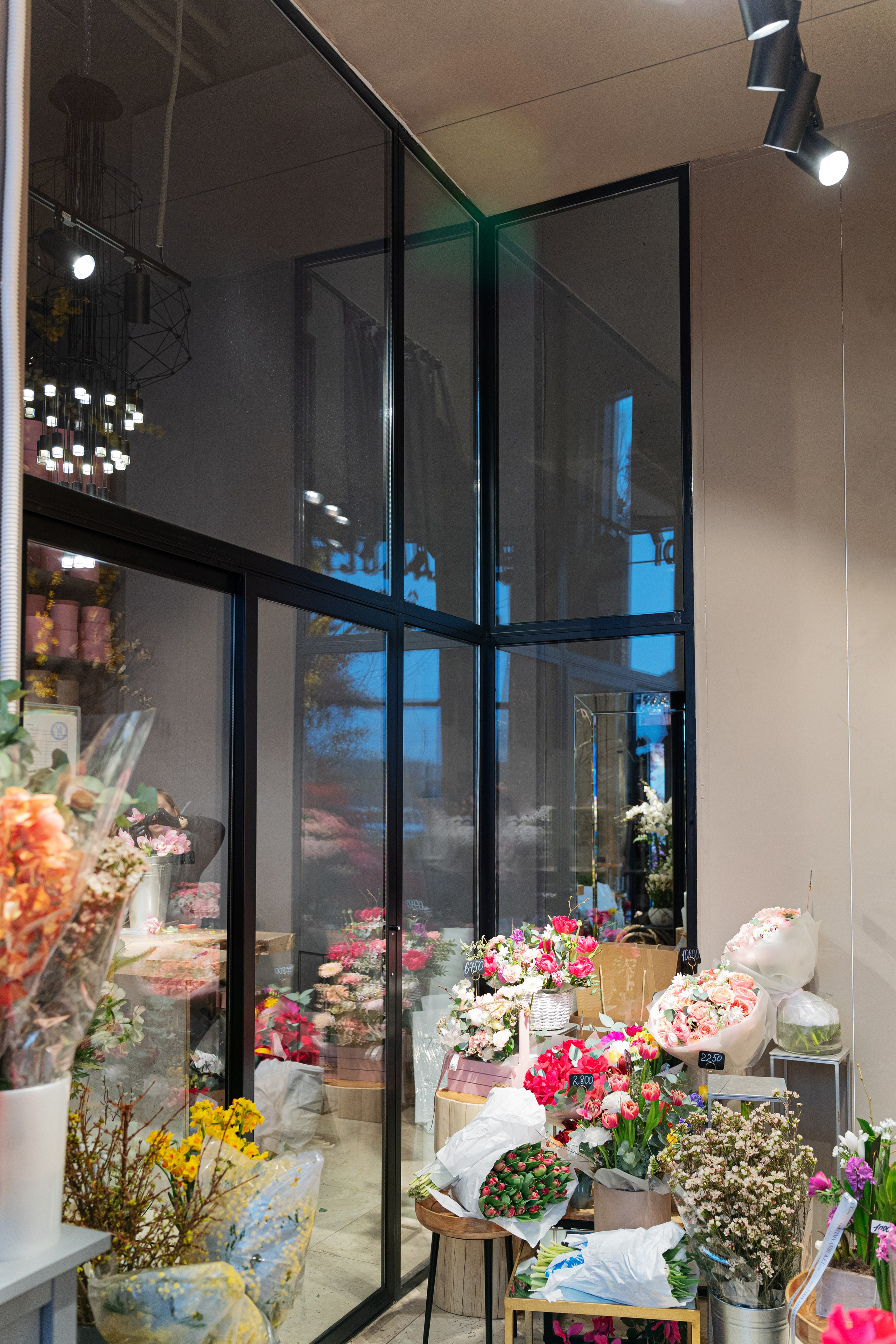 Регион холод. Елена Пашкевич, фотограф, Москва