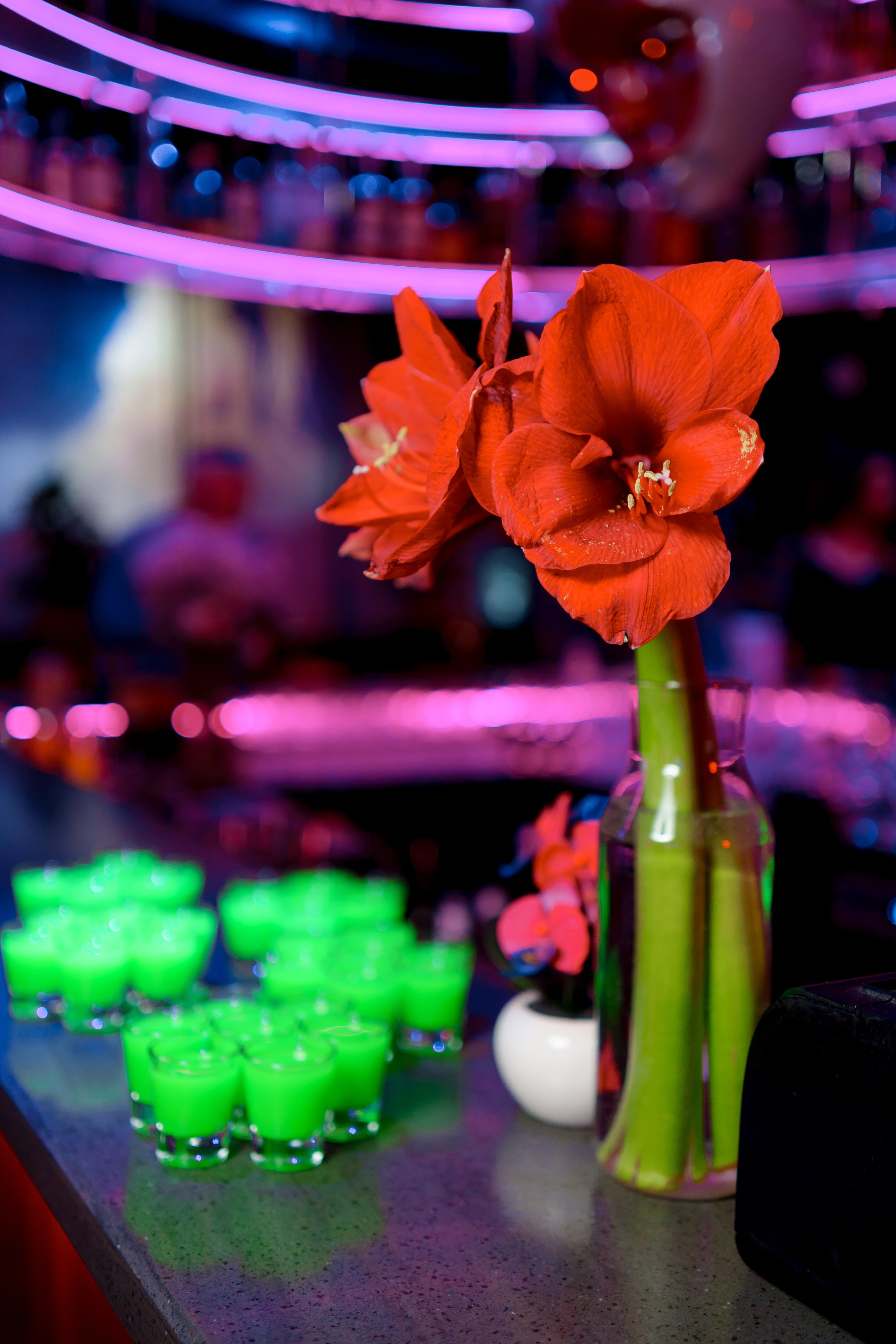 Корпоратив. Свадебный и семейный фотограф