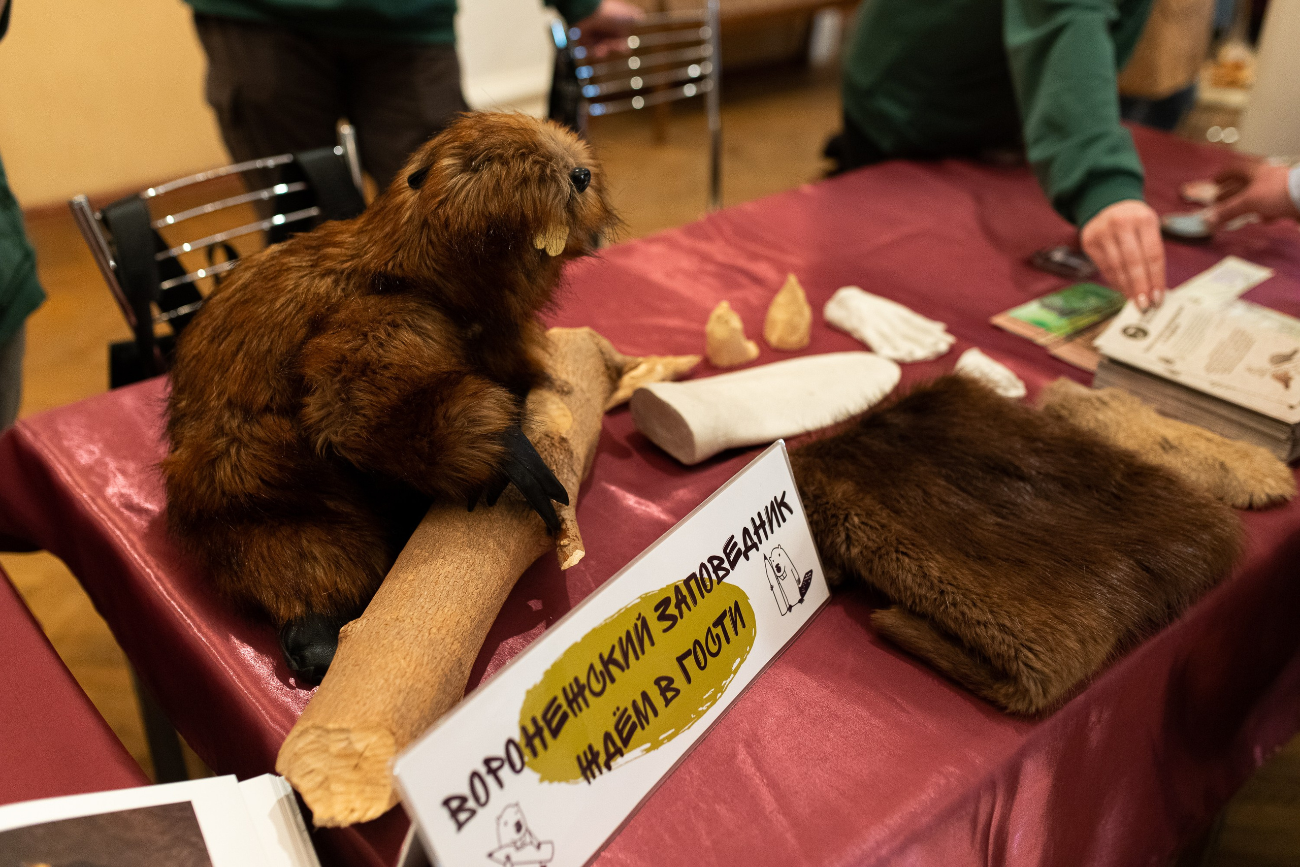 Всероссийская премия «Туристические города» 2024. Портретный и репортажный фотограф в Воронеже: Анастасия Пузикова