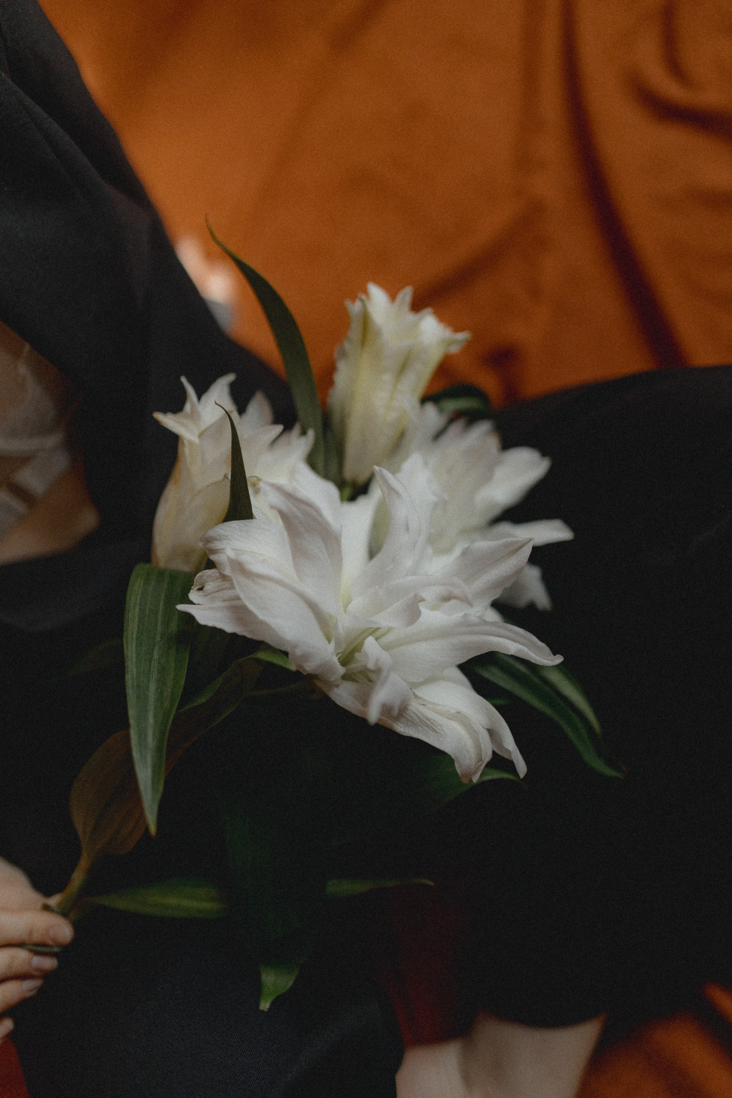 Анастасия. Фотограф НОГИНСК, Москва, Анастасия Белая