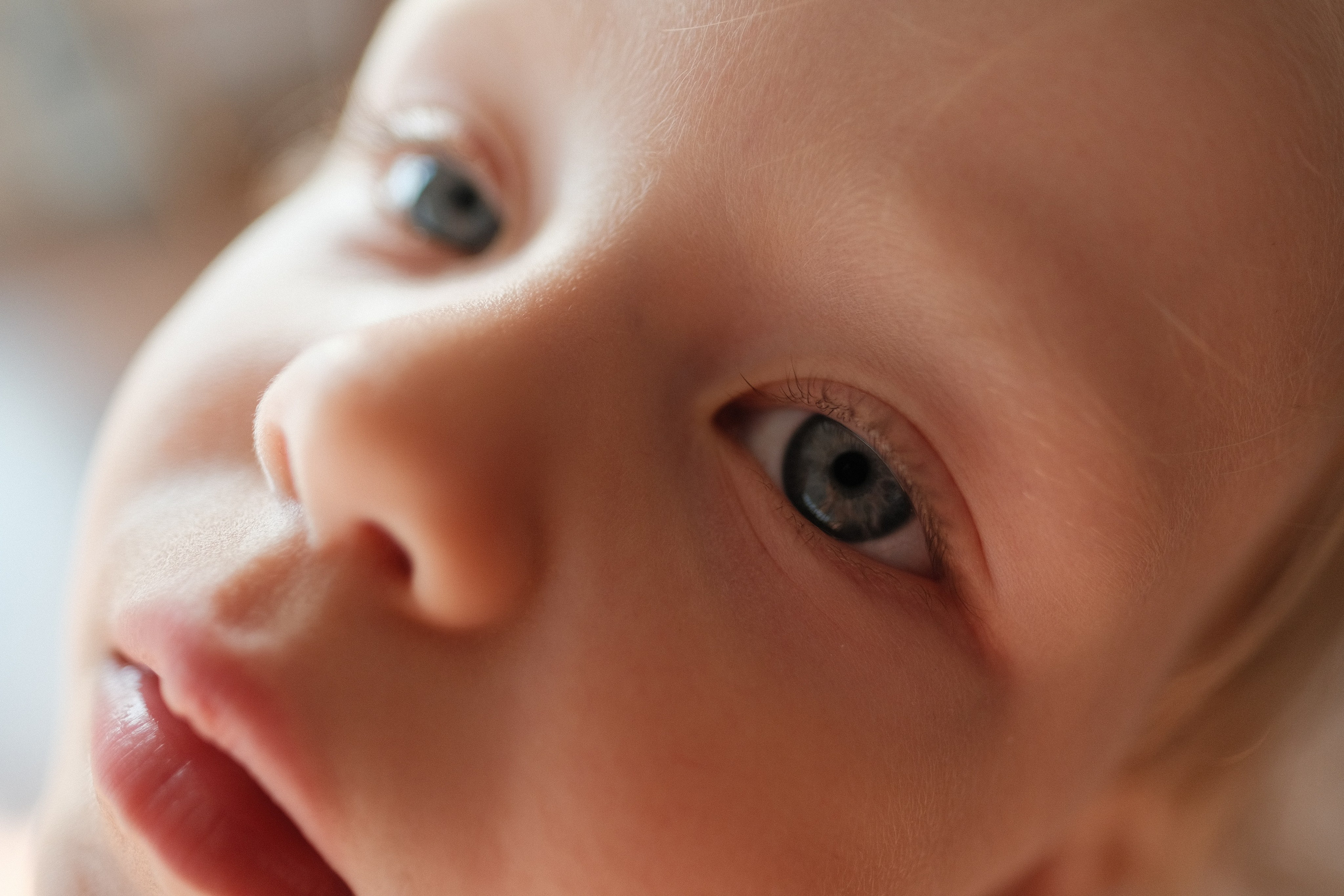 Наблюдения. Семейный фотограф в Новосибирске Артём Кузнецов