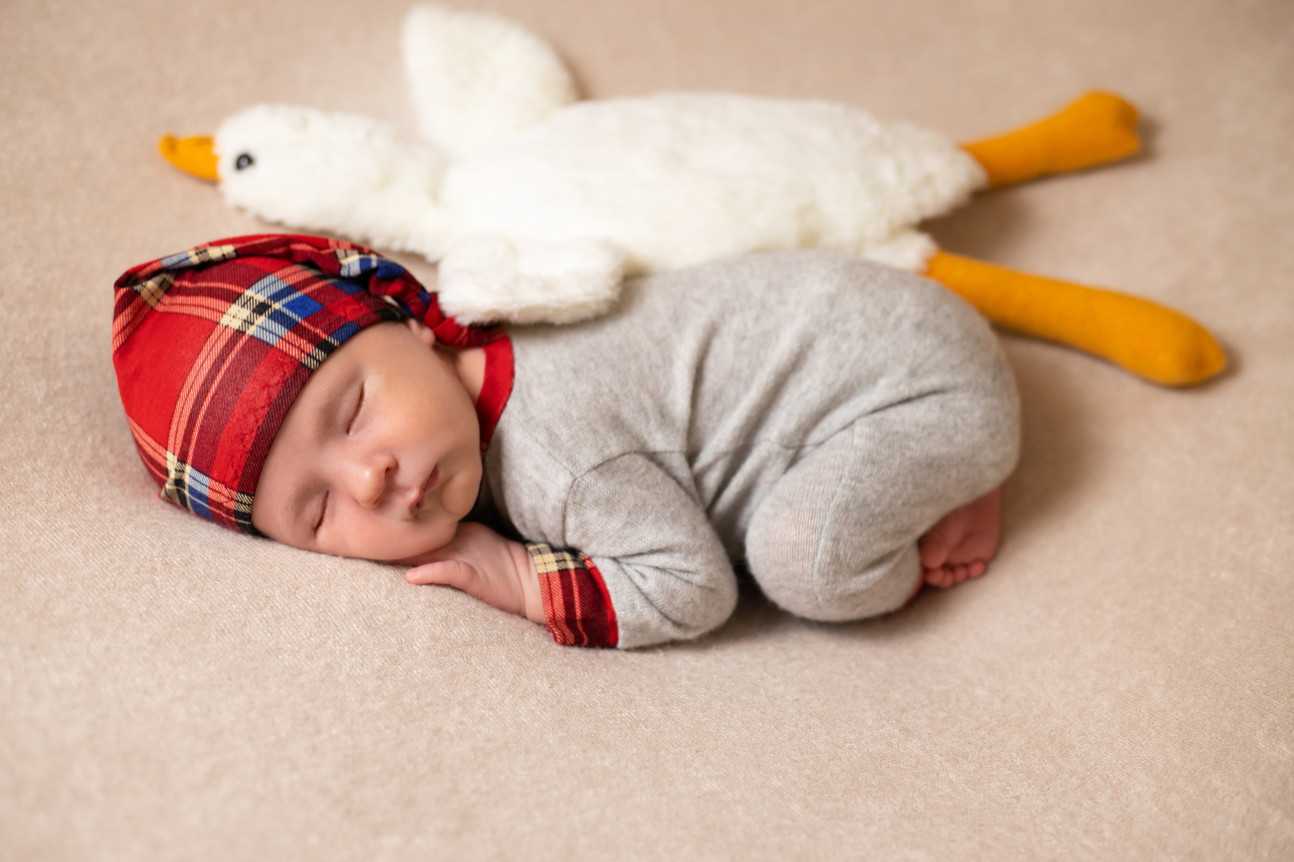 Мальчики. Фотограф новорожденных Химки, Красногорск, Мытищи и Москва Елена Третьяк