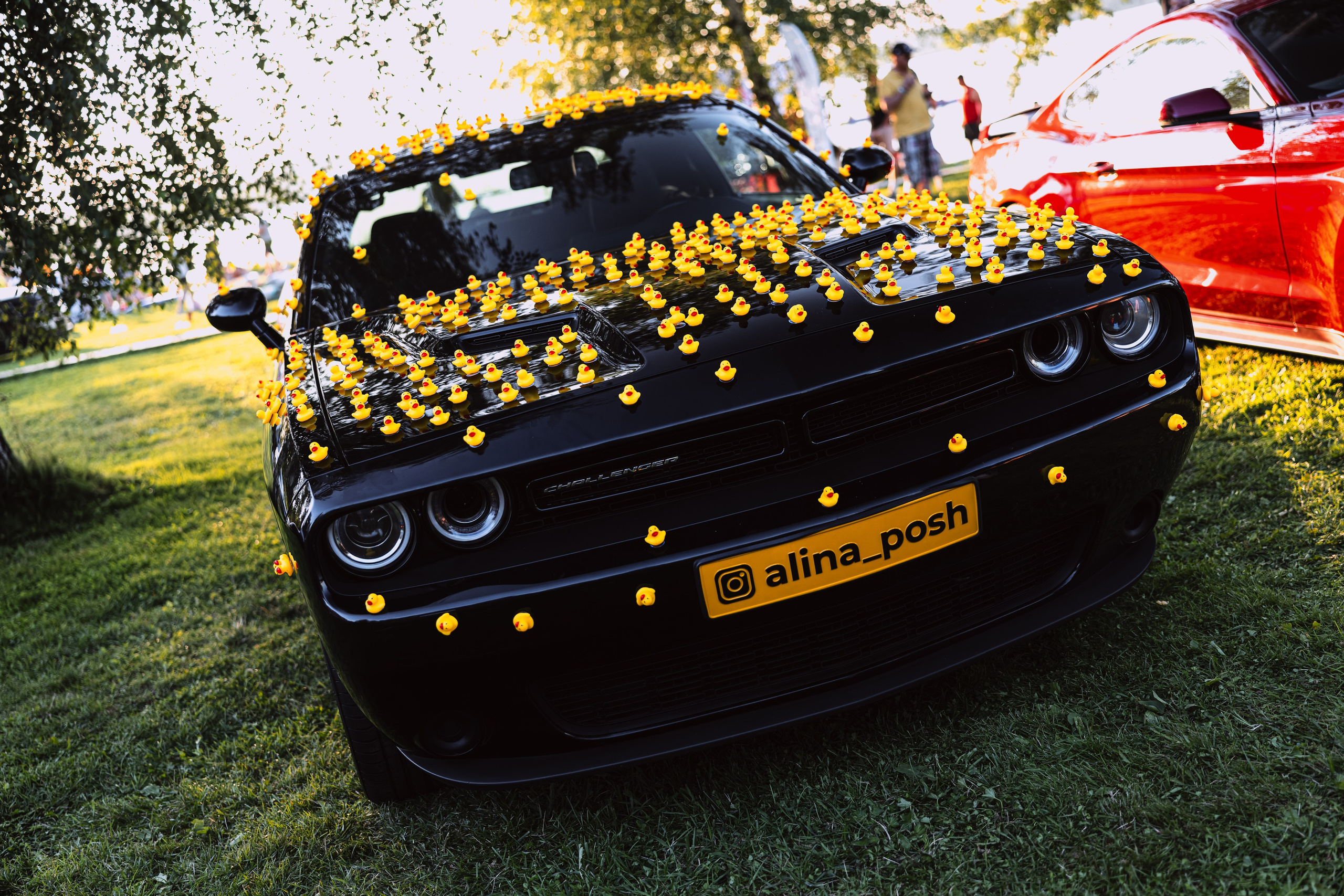 Tuning Open Fest 2025. Авто и мотоспорт — фотограф Антон Медведев iCoguar