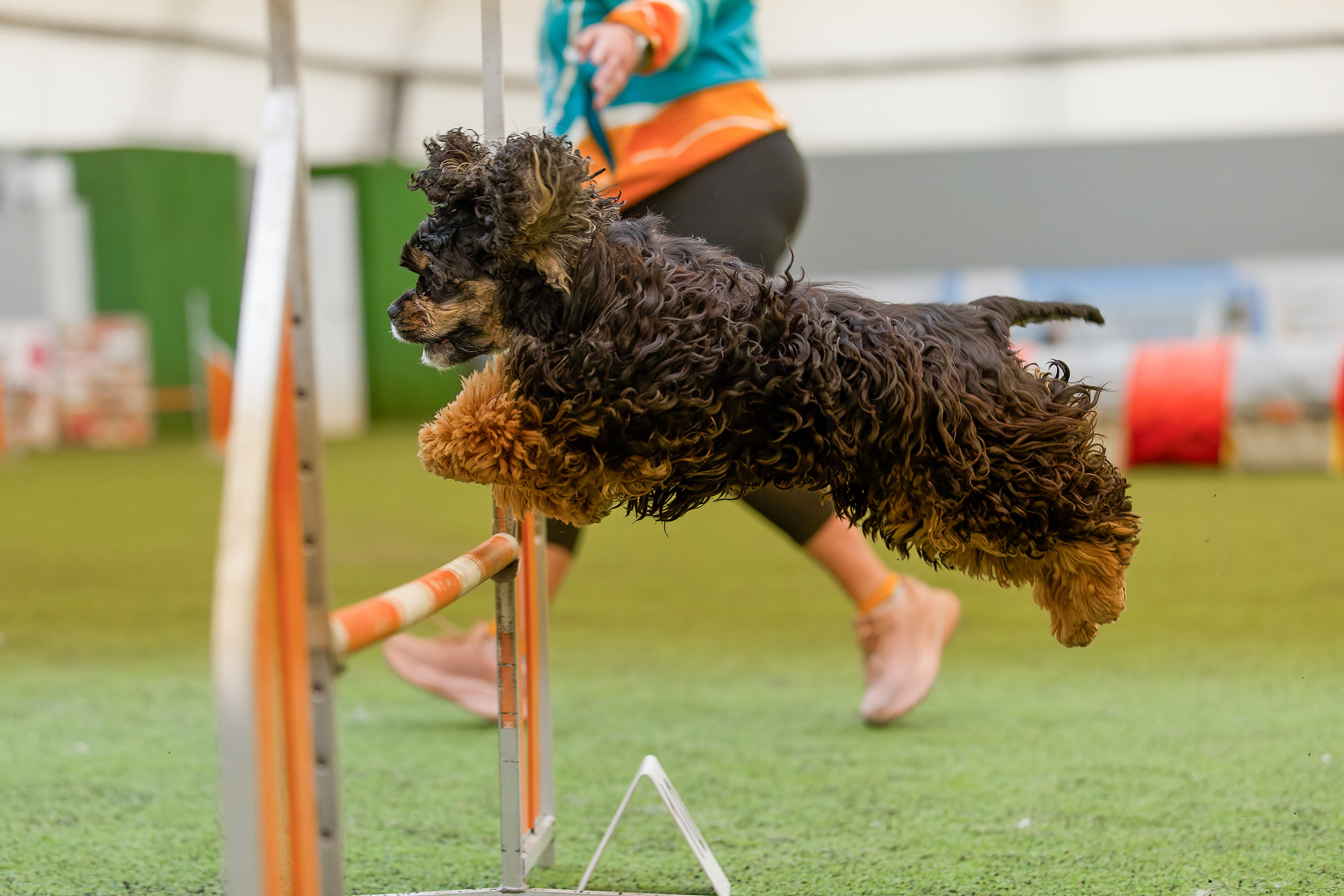 CityCup Соревнования от компании Живая Сила 2026. Irenephoto.ru