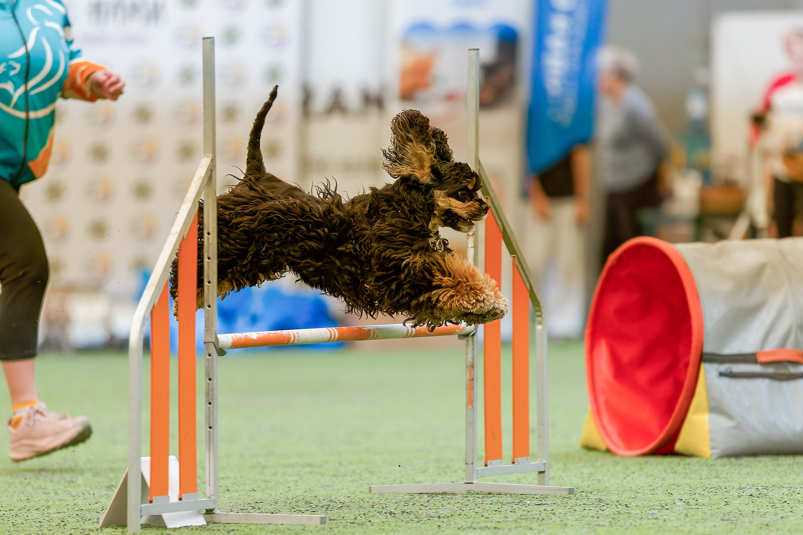 CityCup Соревнования от компании Живая Сила 2026. Irenephoto.ru
