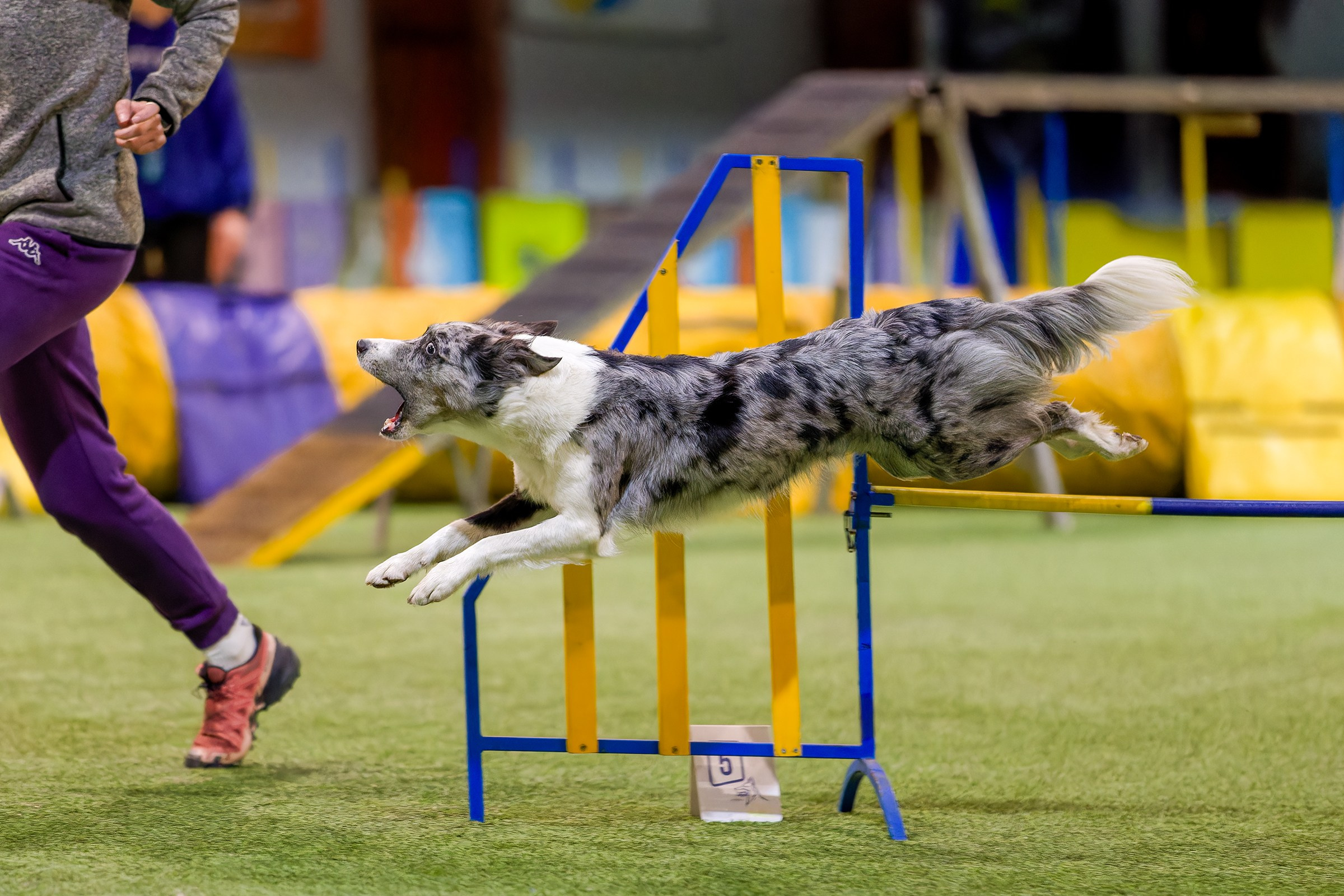 CityCup Соревнования от компании Живая Сила 2026. Irenephoto.ru