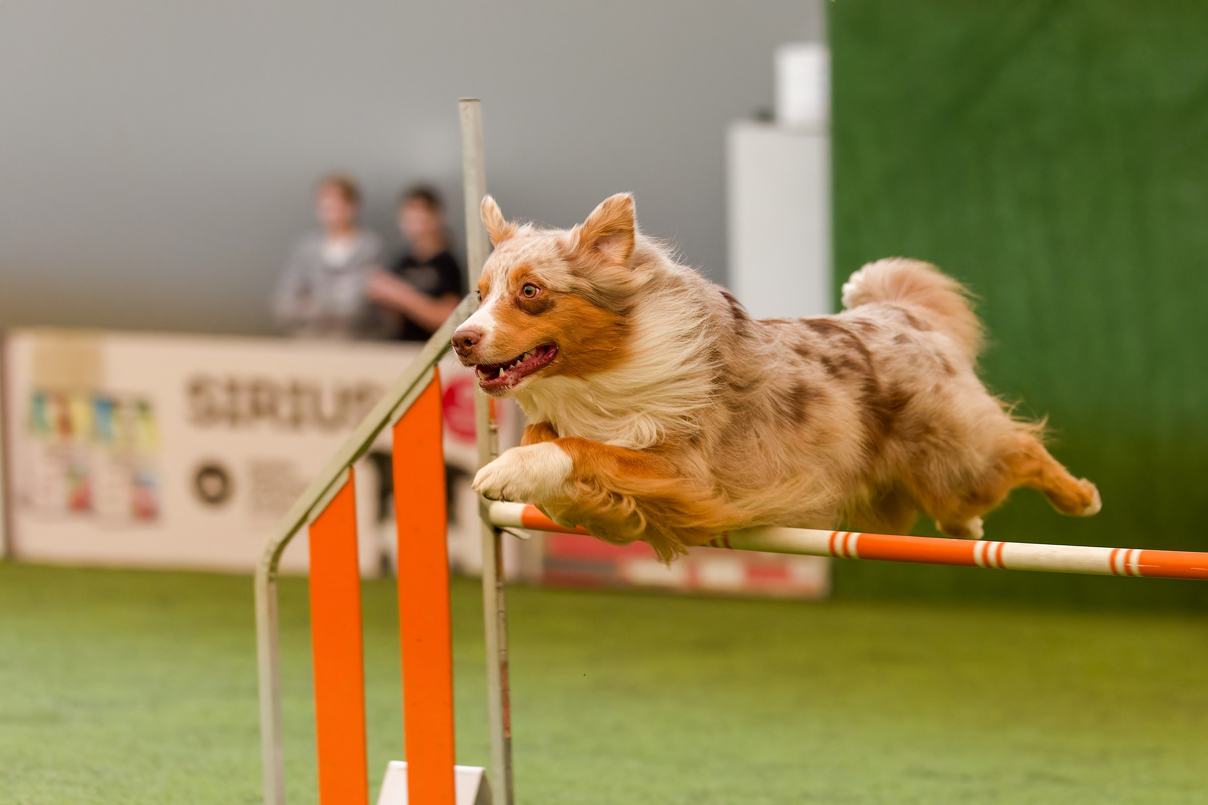 CityCup Соревнования от компании Живая Сила 2026. Irenephoto.ru