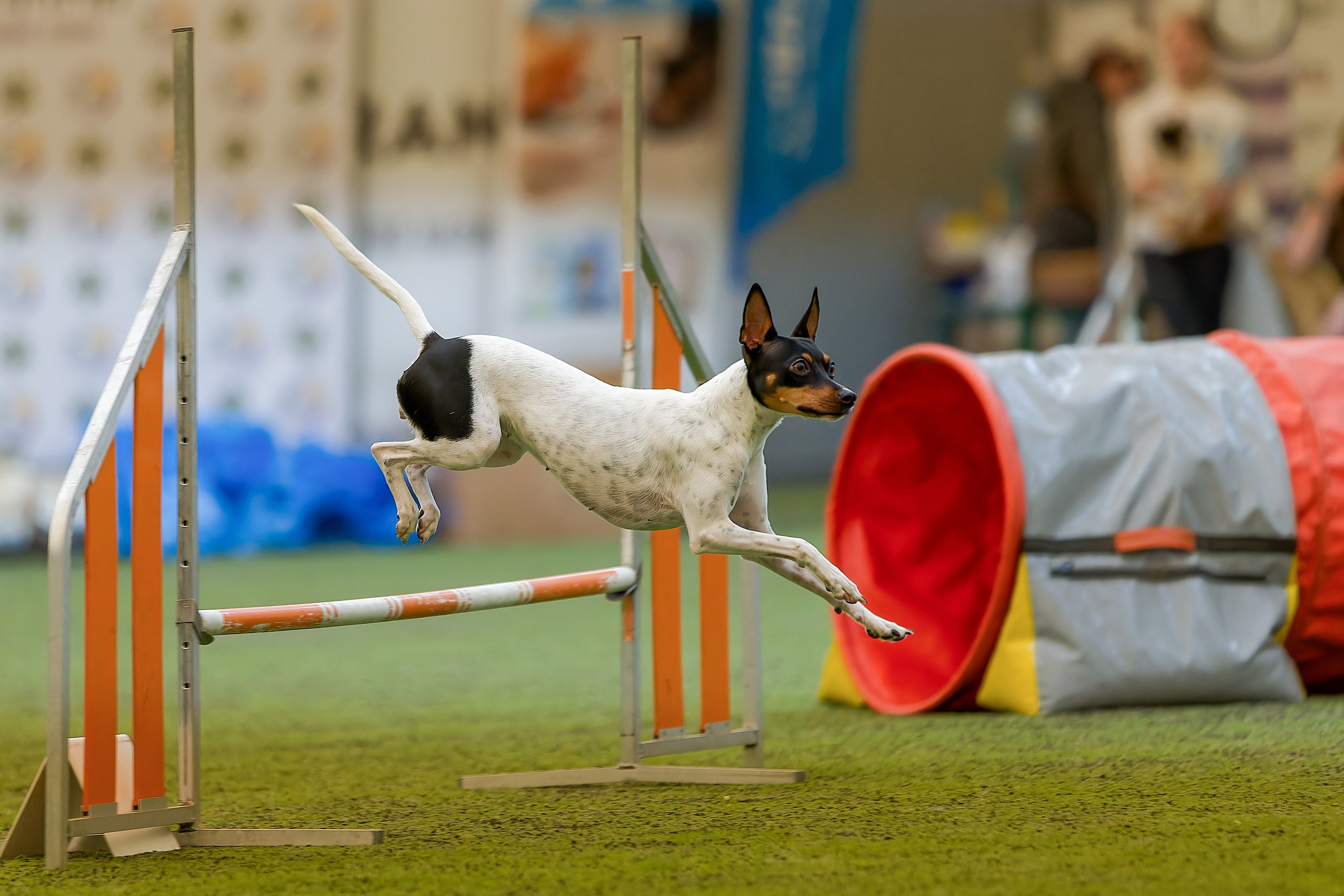 CityCup Соревнования от компании Живая Сила 2026. Irenephoto.ru