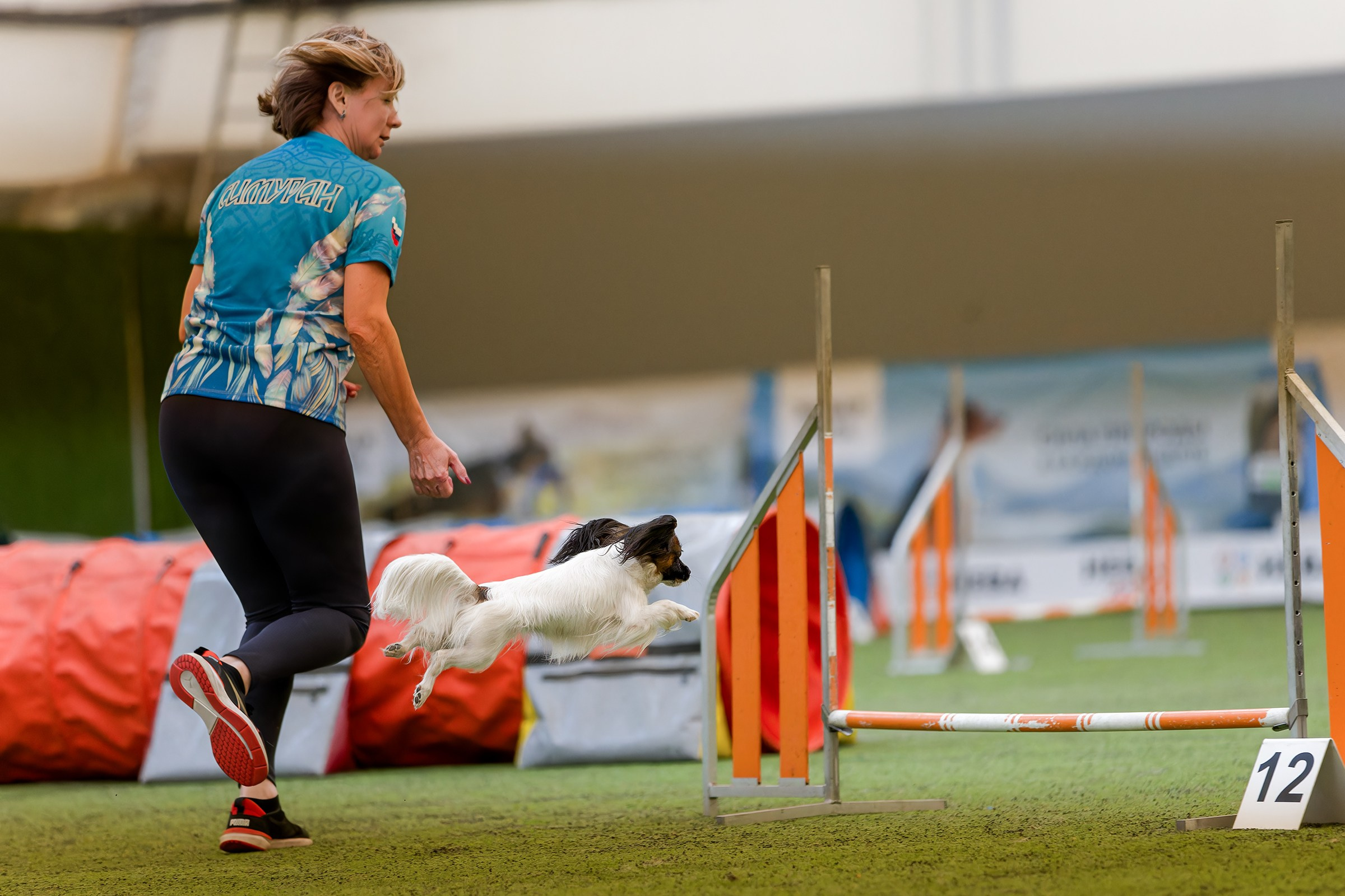 CityCup Соревнования от компании Живая Сила 2026. Irenephoto.ru