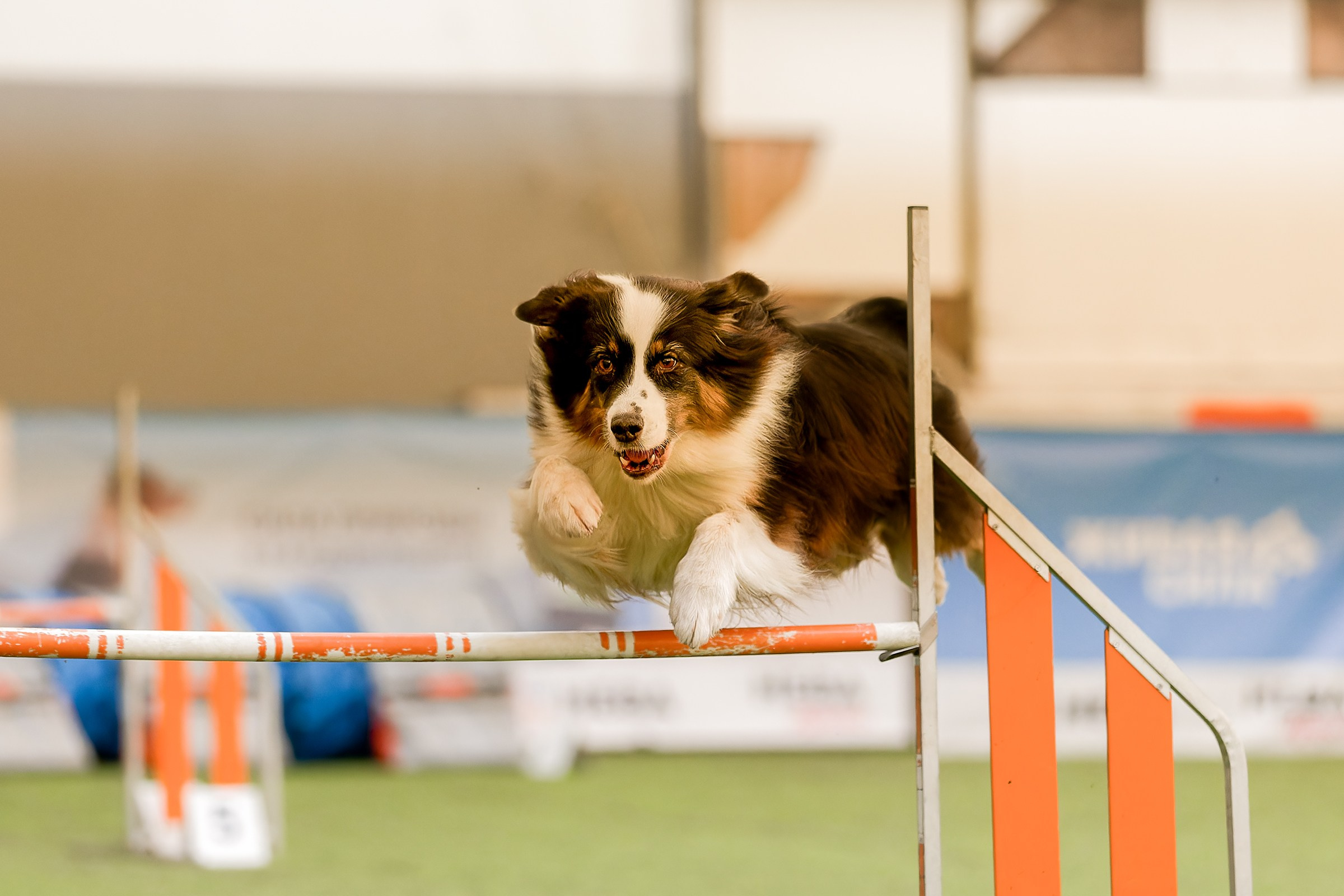 CityCup Соревнования от компании Живая Сила 2026. Irenephoto.ru
