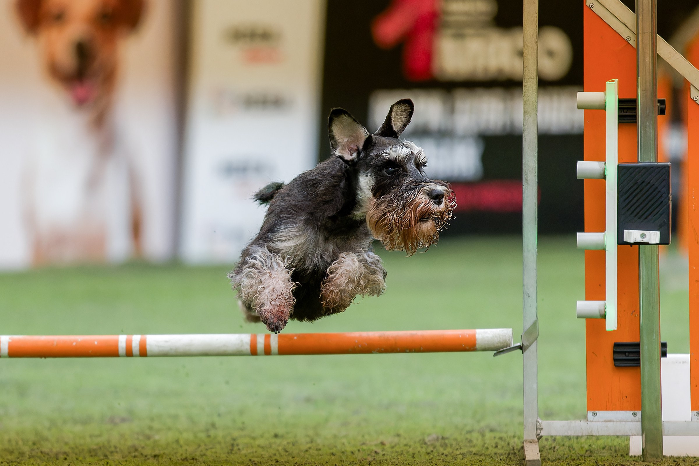 CityCup Соревнования от компании Живая Сила 2026. Irenephoto.ru
