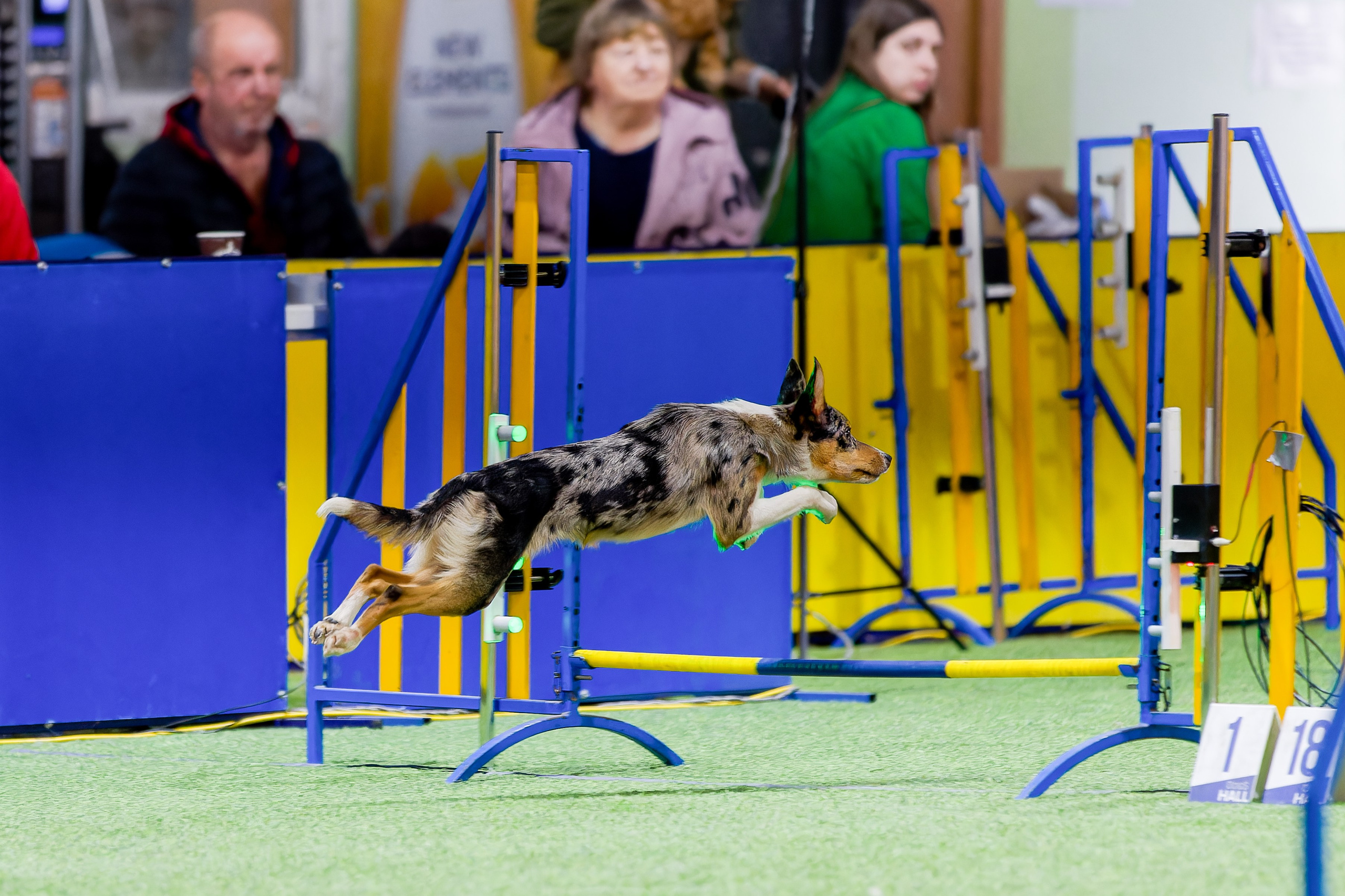 CityCup Соревнования от компании Живая Сила 2026. Irenephoto.ru