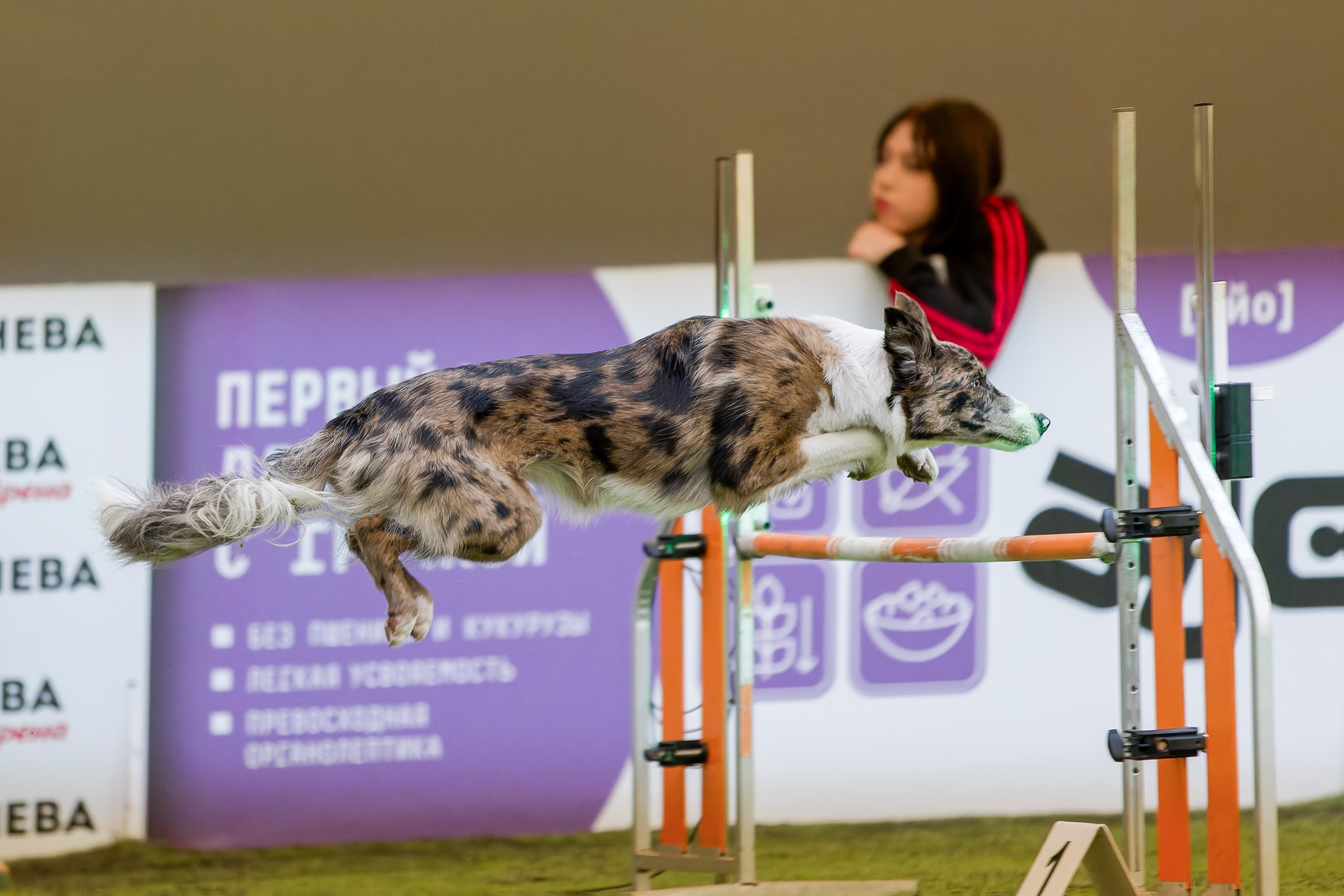 CityCup Соревнования от компании Живая Сила 2026. Irenephoto.ru