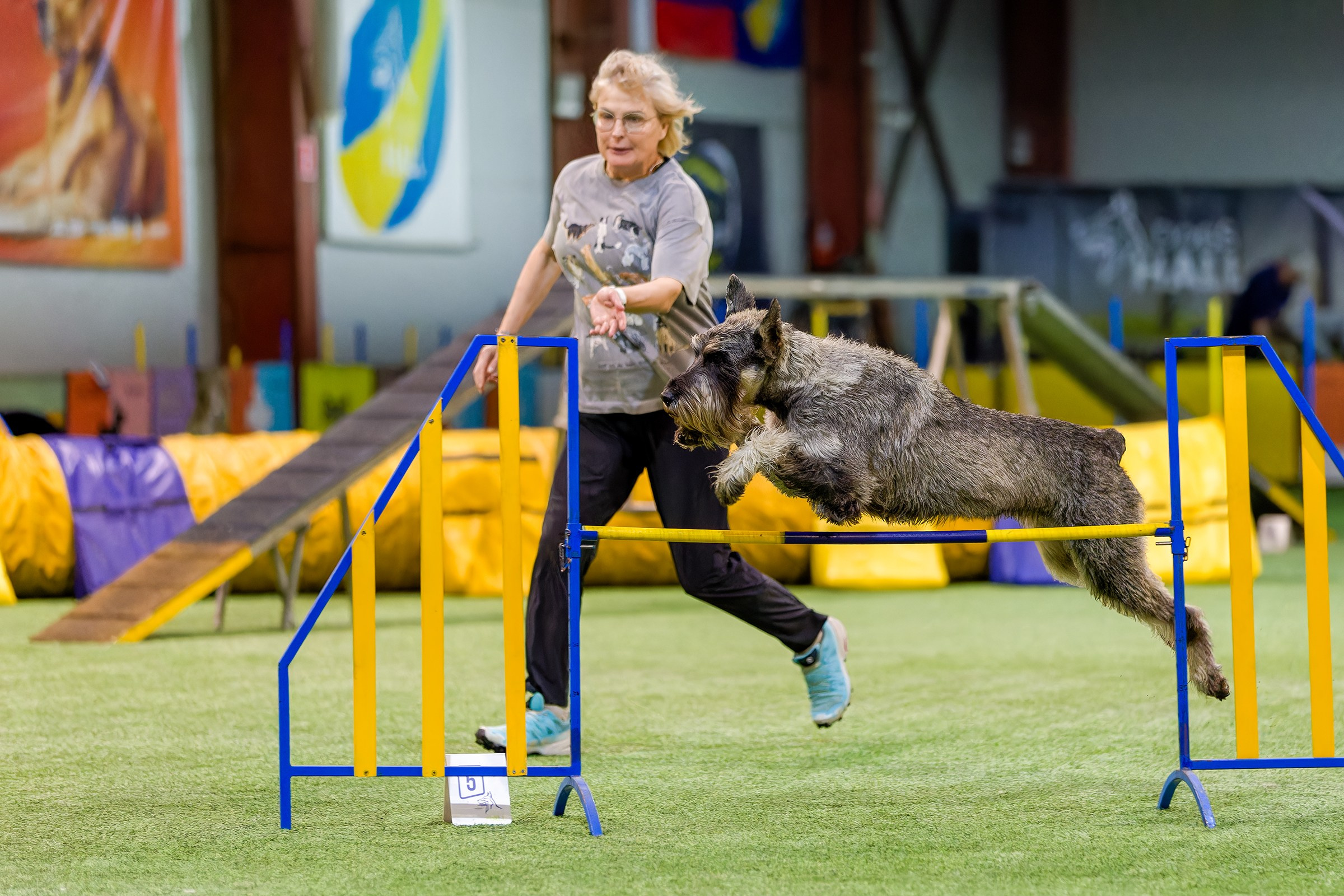 CityCup Соревнования от компании Живая Сила 2026. Irenephoto.ru