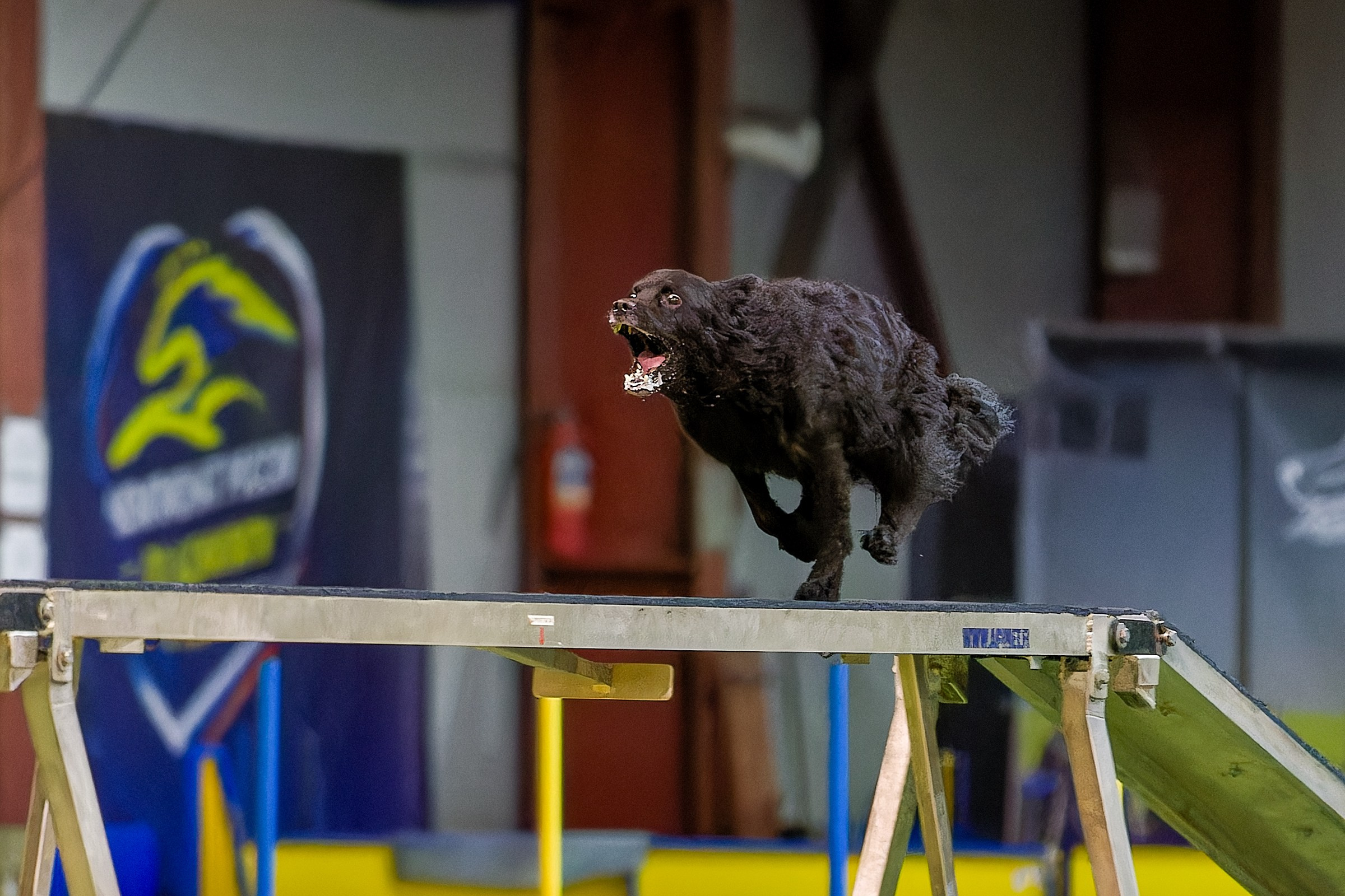CityCup Соревнования от компании Живая Сила 2026. Irenephoto.ru