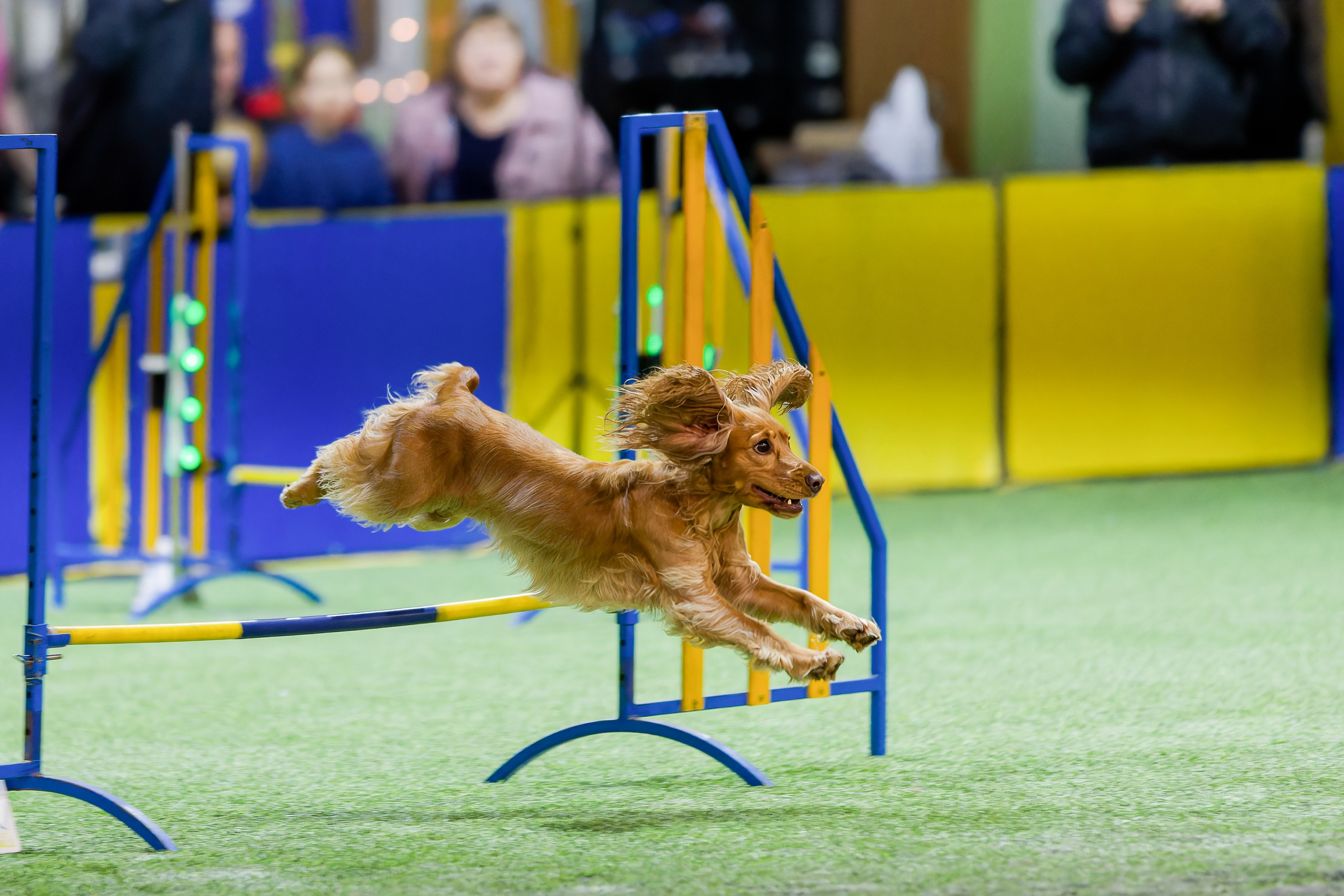 CityCup Соревнования от компании Живая Сила 2026. Irenephoto.ru