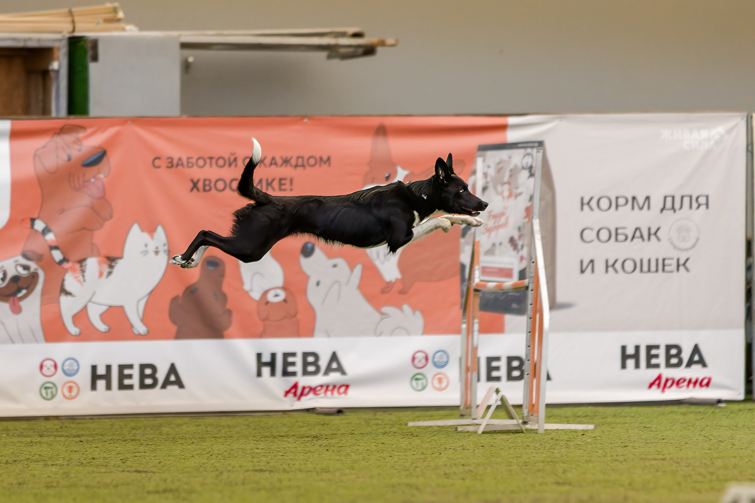 CityCup Соревнования от компании Живая Сила 2026. Irenephoto.ru