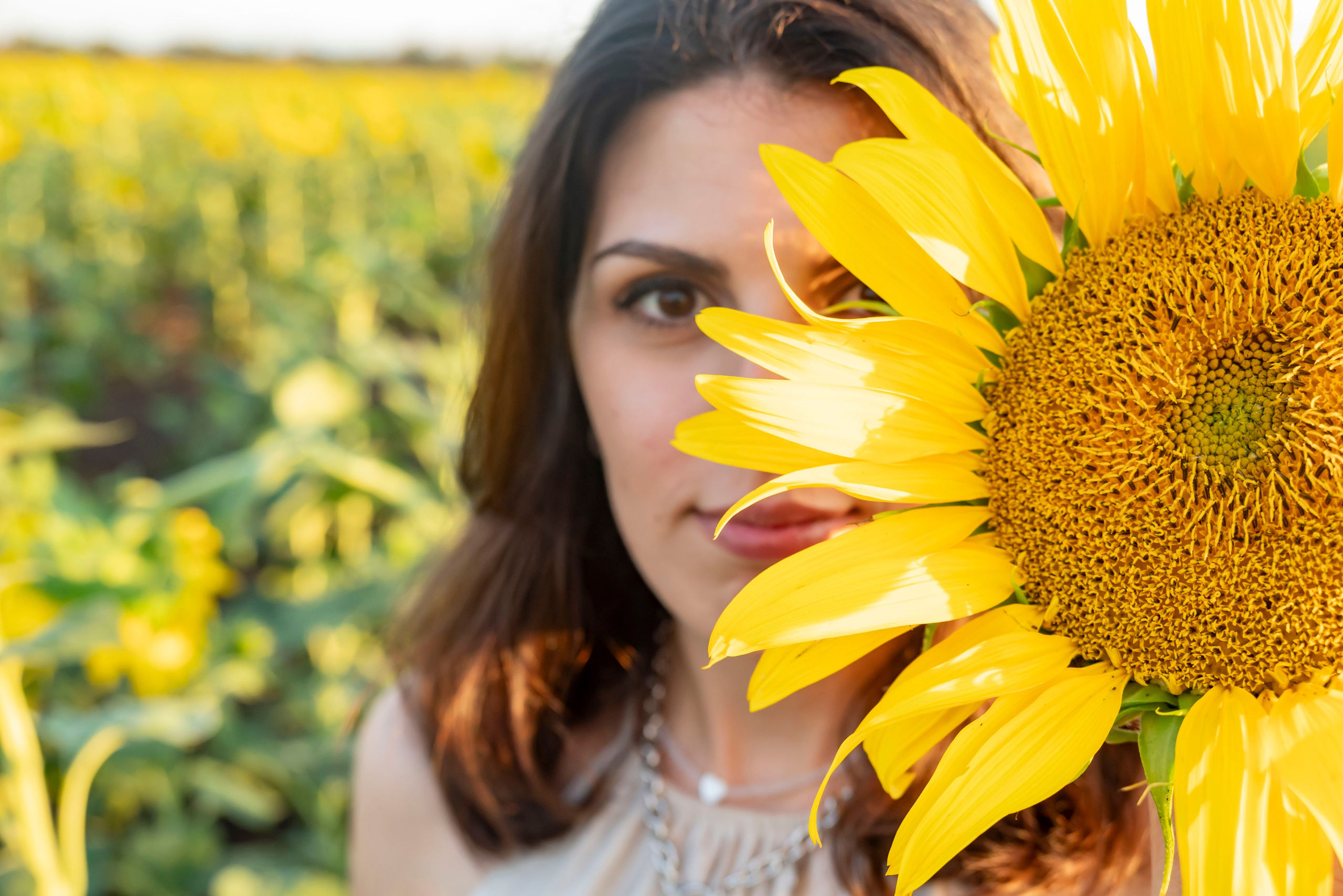Летняя прогулка. Главная