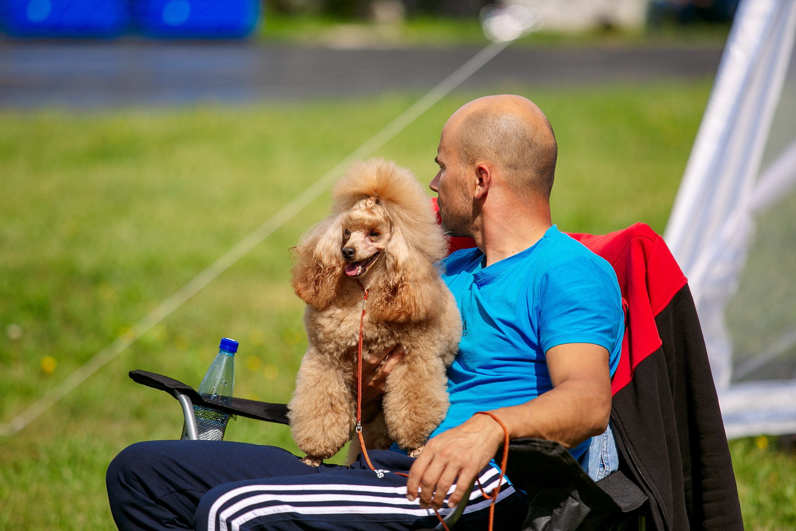 Окунулась вновь в атмосферу выставки…. Школьный фотограф в Туле Светлана Привезенцева