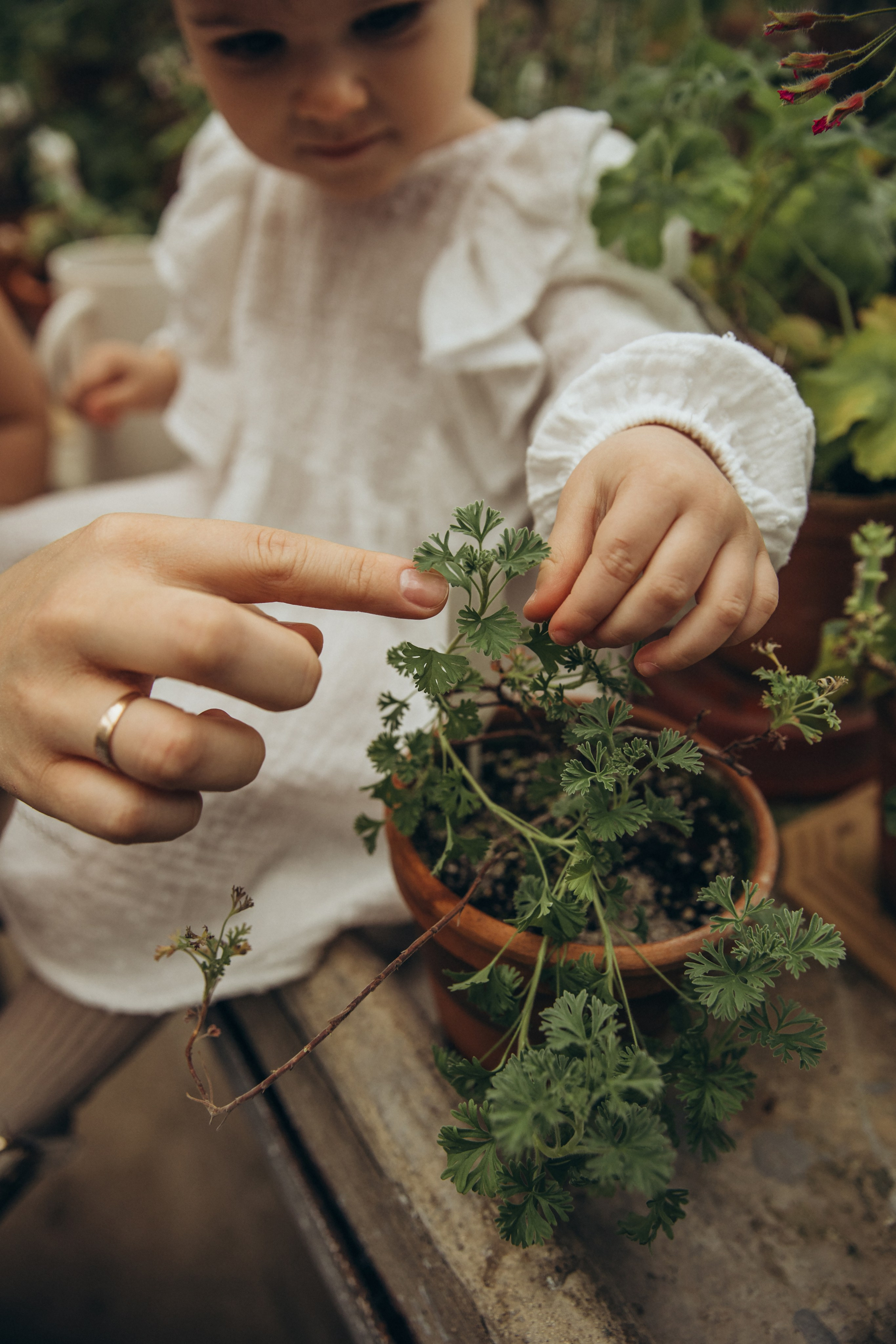 Мама и дочь оранжерея. Свадебный и семейный фотограф Москва и Московская область