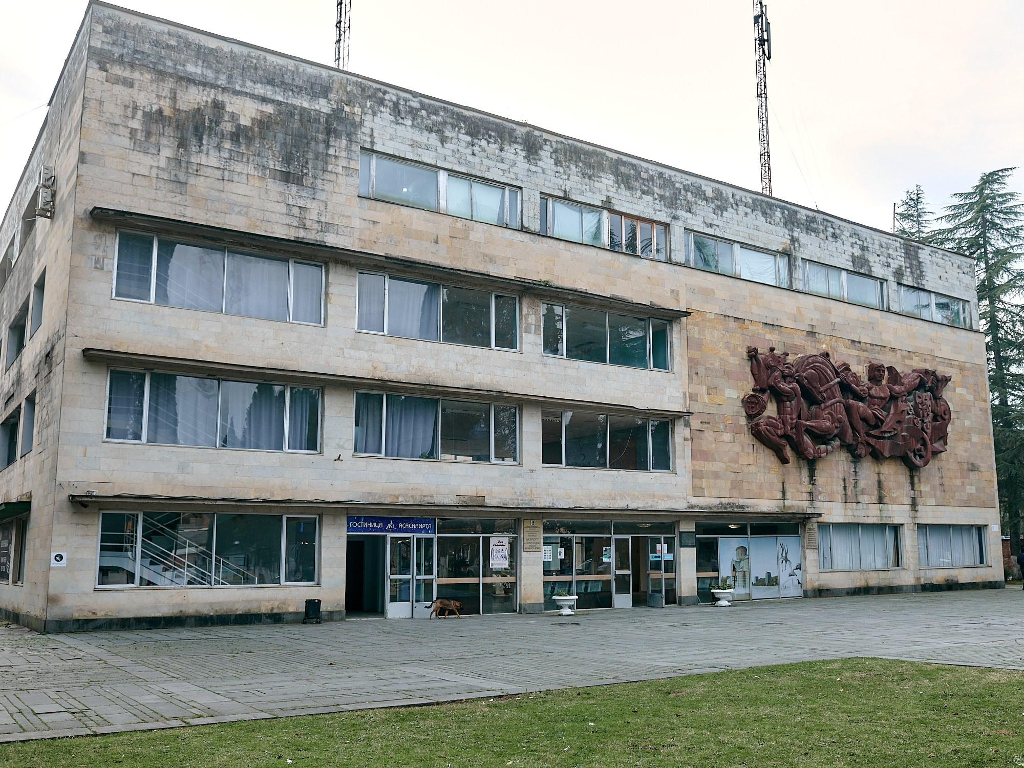 Пицунда, Абхазия. Декабрь 2024. Фотографии отовсюду и обо всем