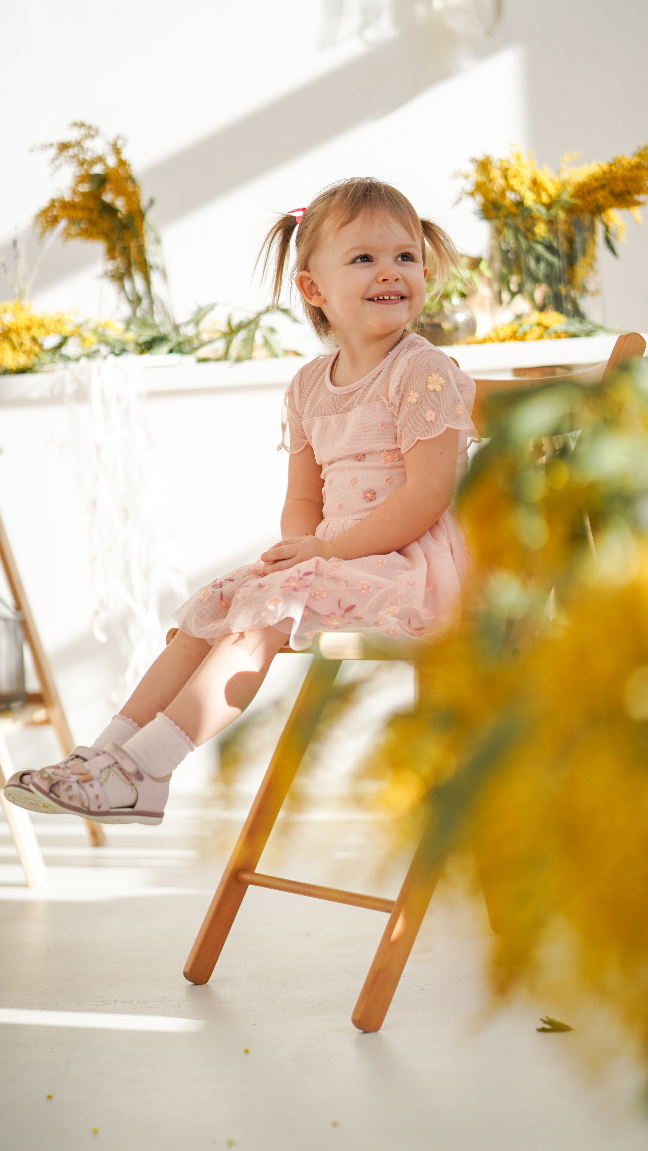 Мимоза. Фотографии от Евгении Кузнецовой. Москва, Сочи, Краснодар