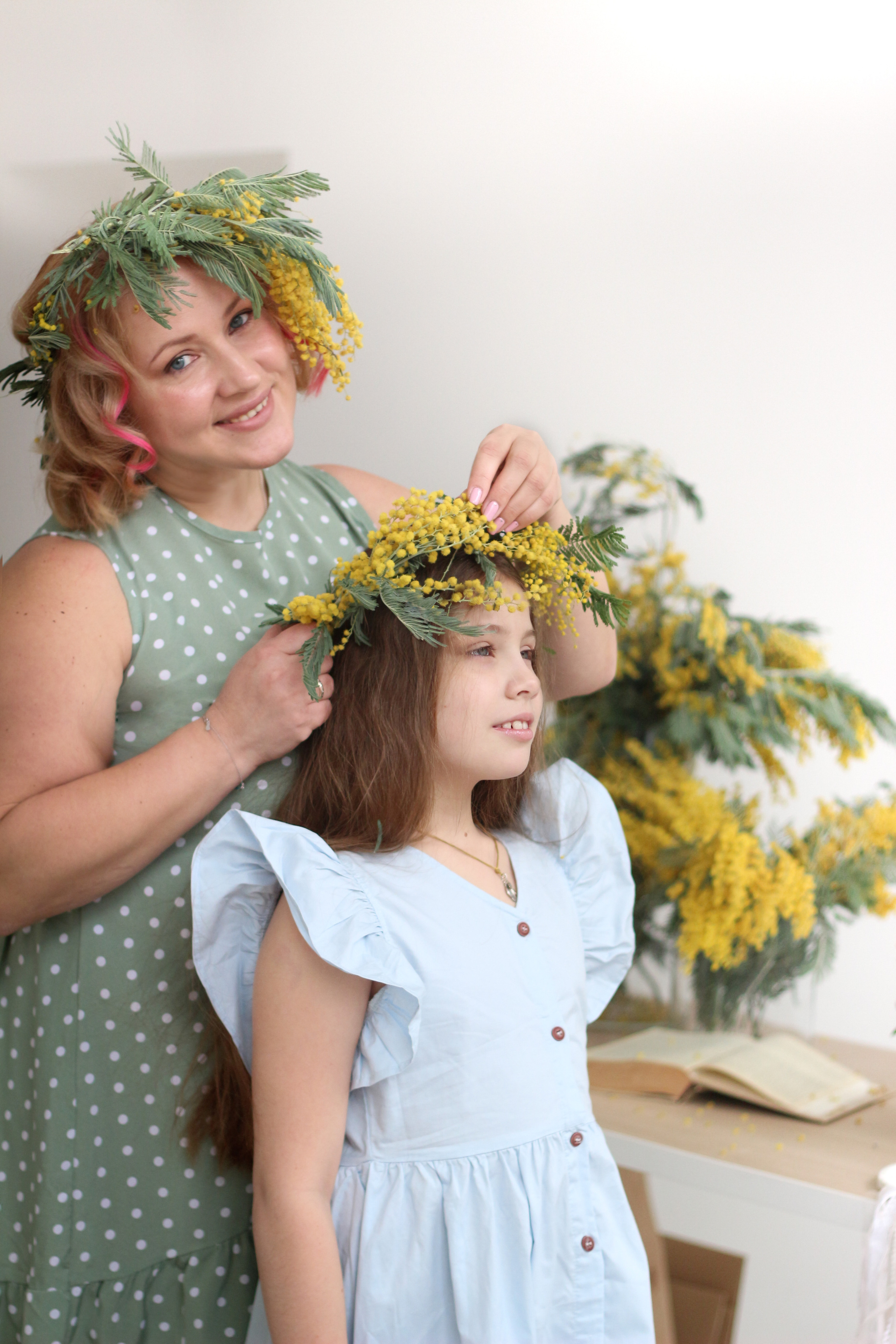 Мимоза. Фотографии от Евгении Кузнецовой. Москва, Сочи, Краснодар