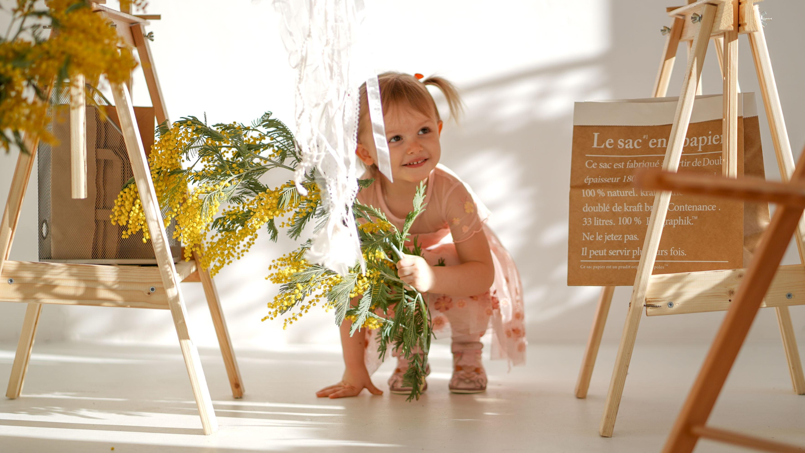 Мимоза. Фотографии от Евгении Кузнецовой. Москва, Сочи, Краснодар